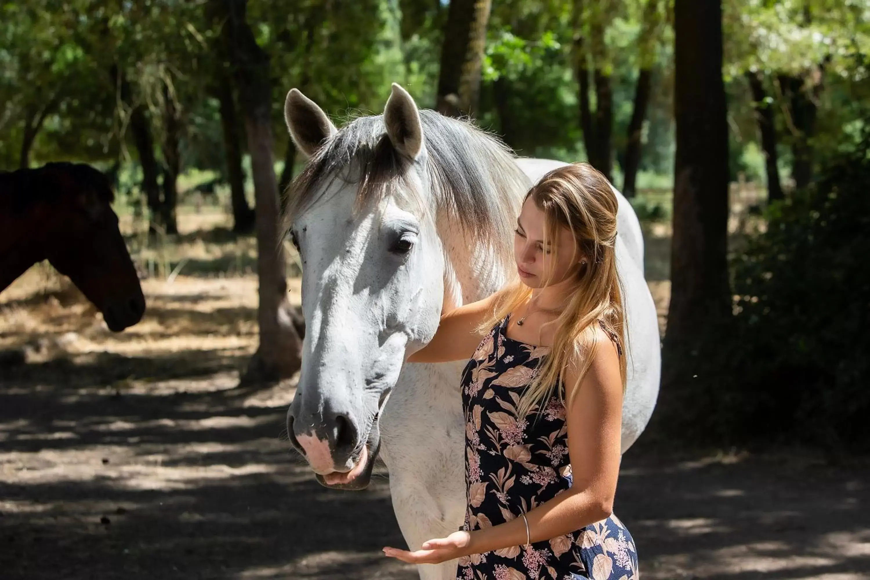 People, Other Animals in Domaine de Biar