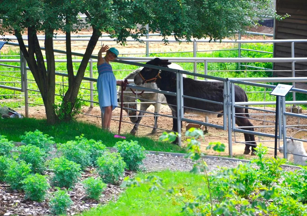 Animals in Ziołowa Dolina