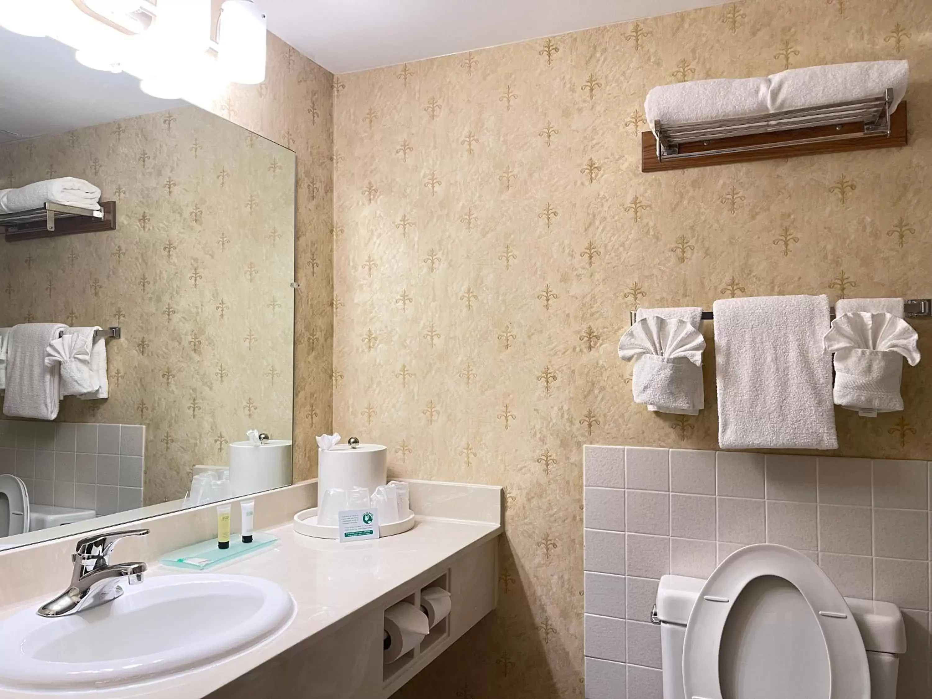 Bathroom in The Chateau Bloomington Hotel and Conference Center