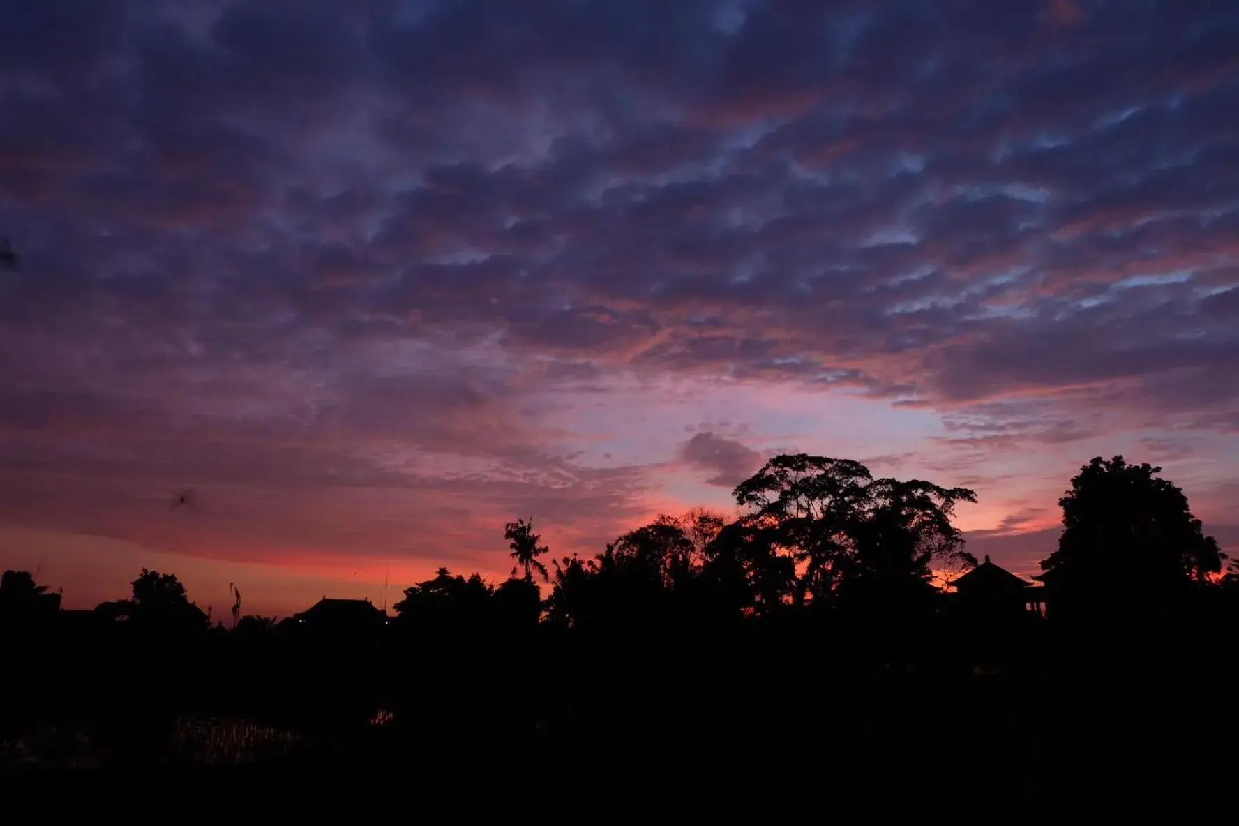 Nearby landmark, Sunrise/Sunset in Ganesha Ubud Inn