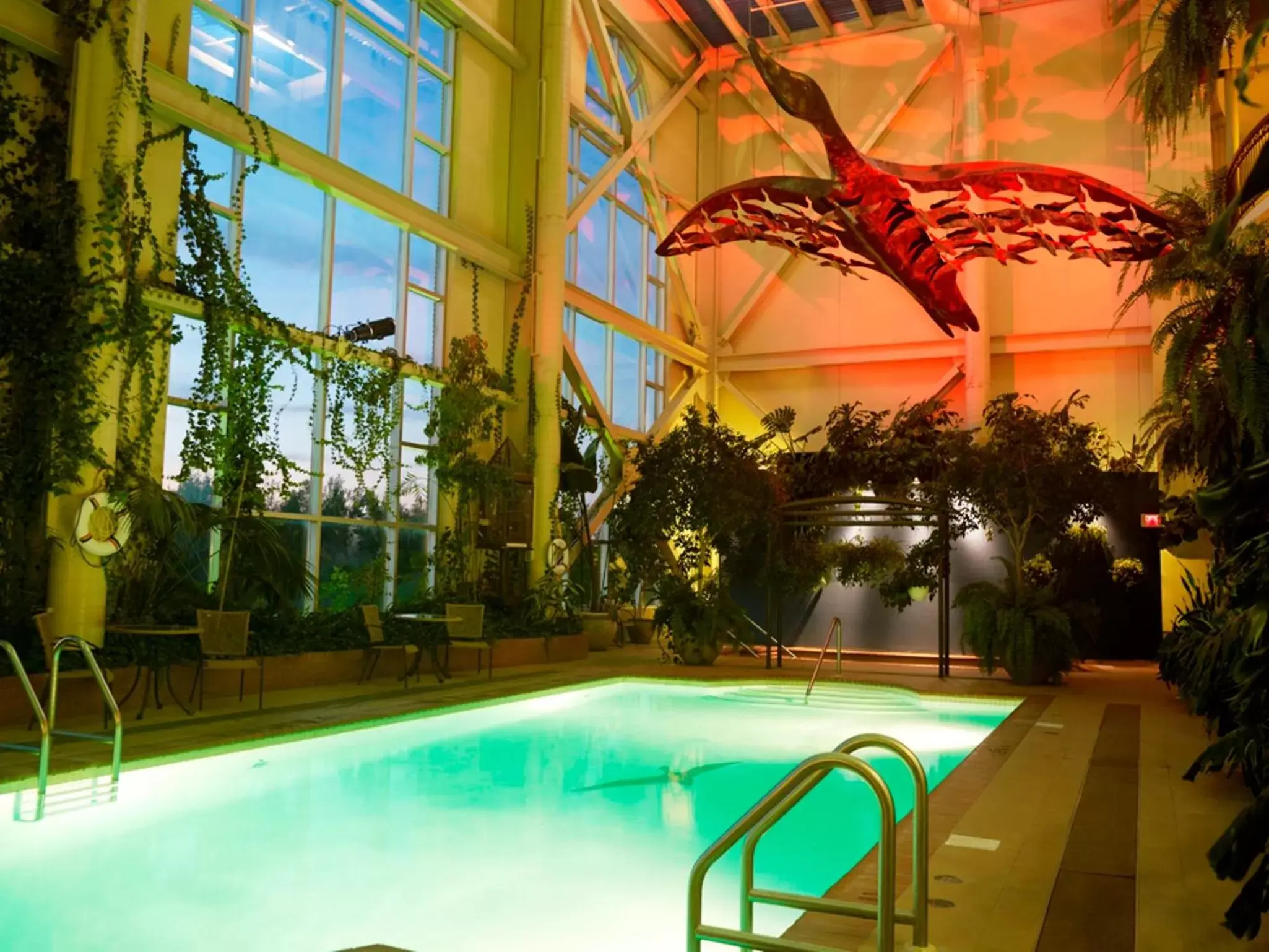 Swimming Pool in Hotel L'Oie des neiges