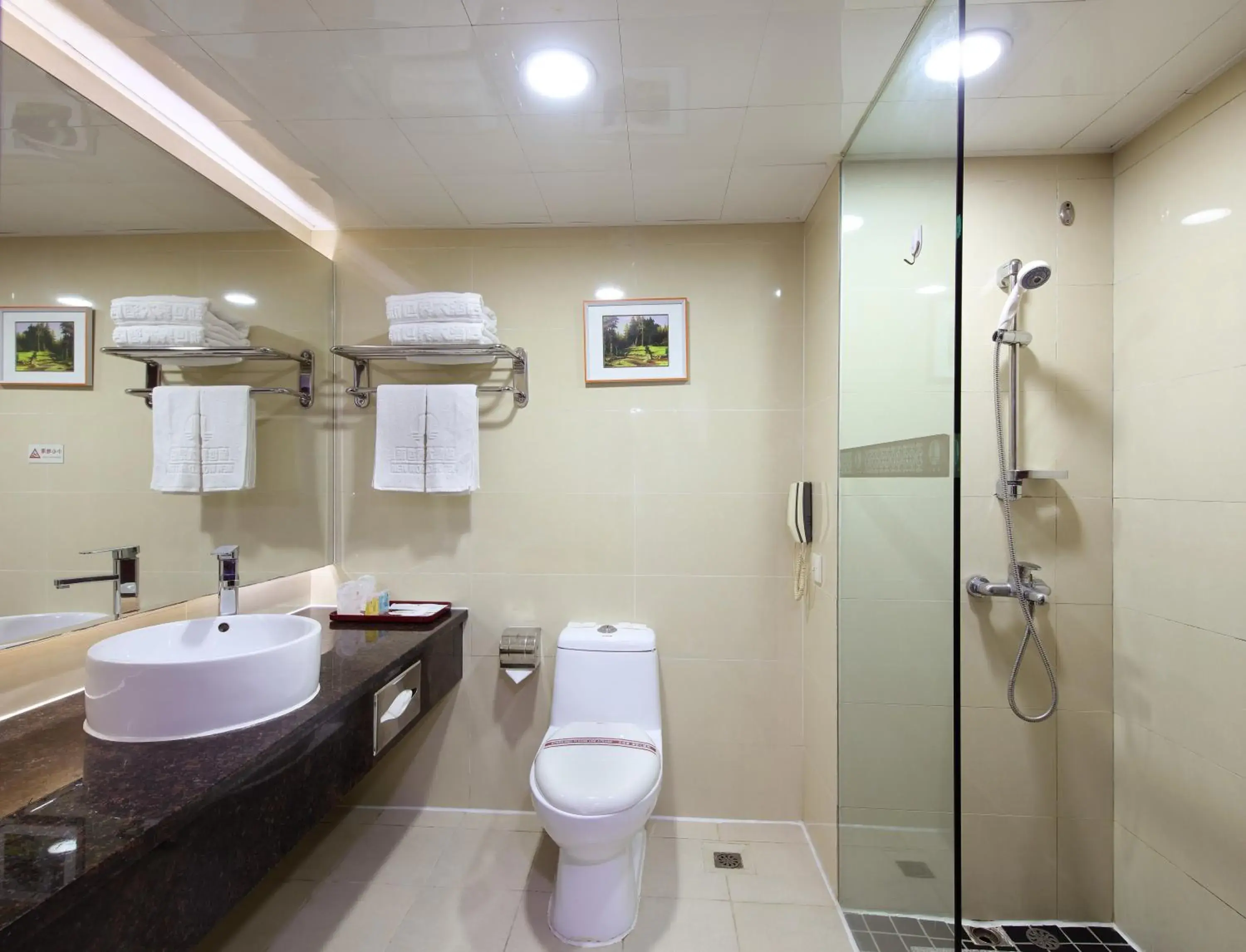 Toilet, Bathroom in New World Hotel