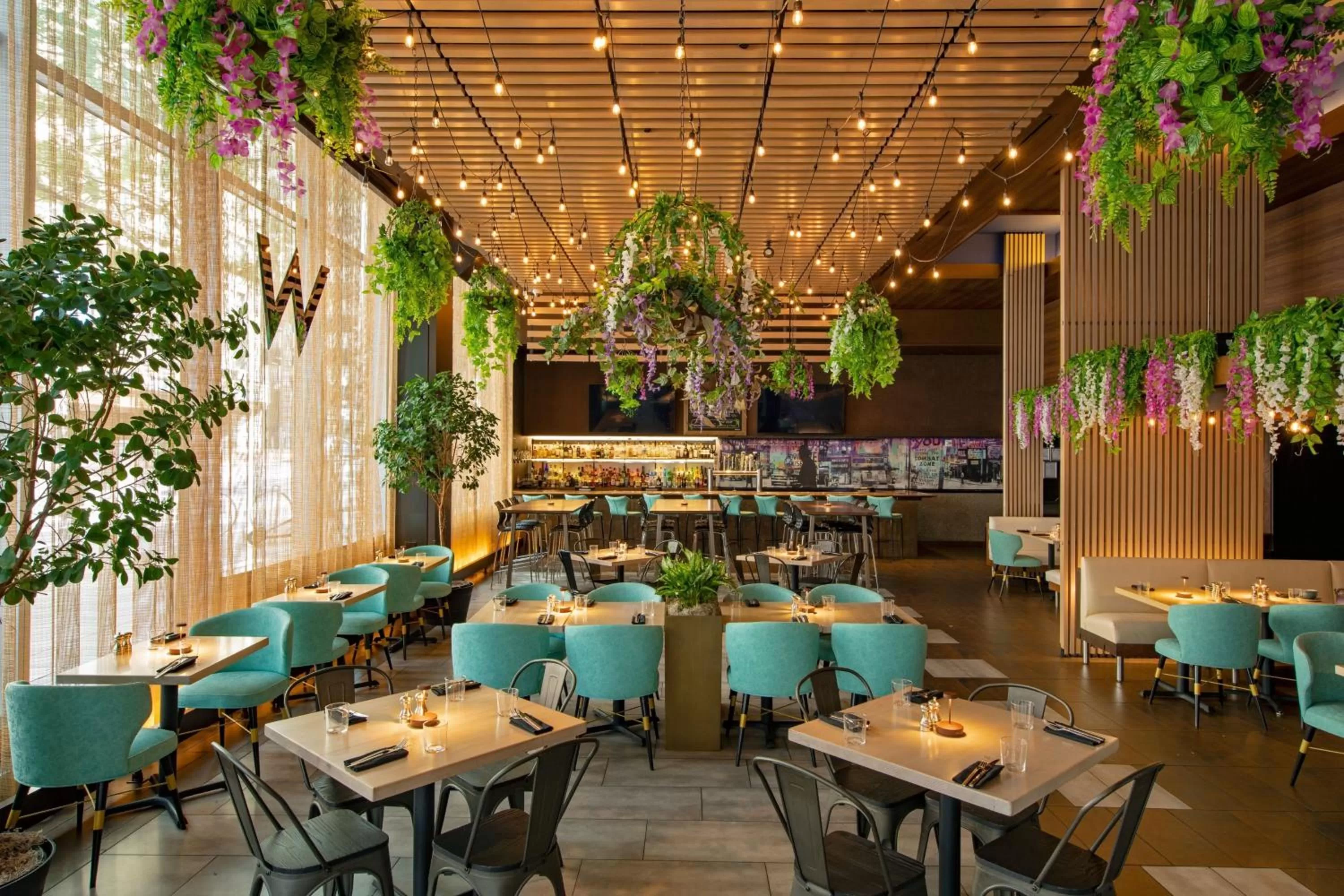 Restaurant/places to eat in W Boston