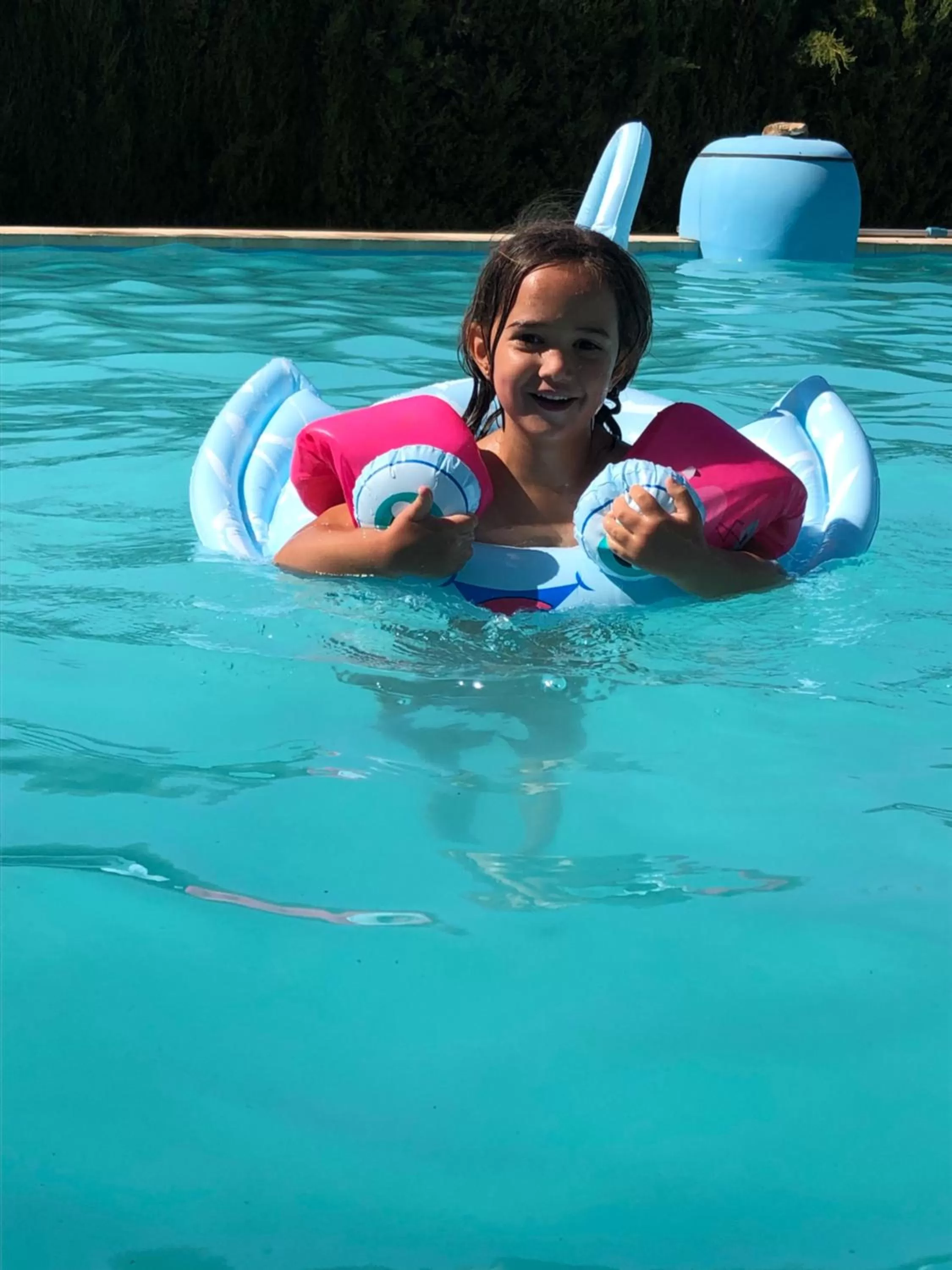 Swimming Pool in Casa Rural Finca Juanamare