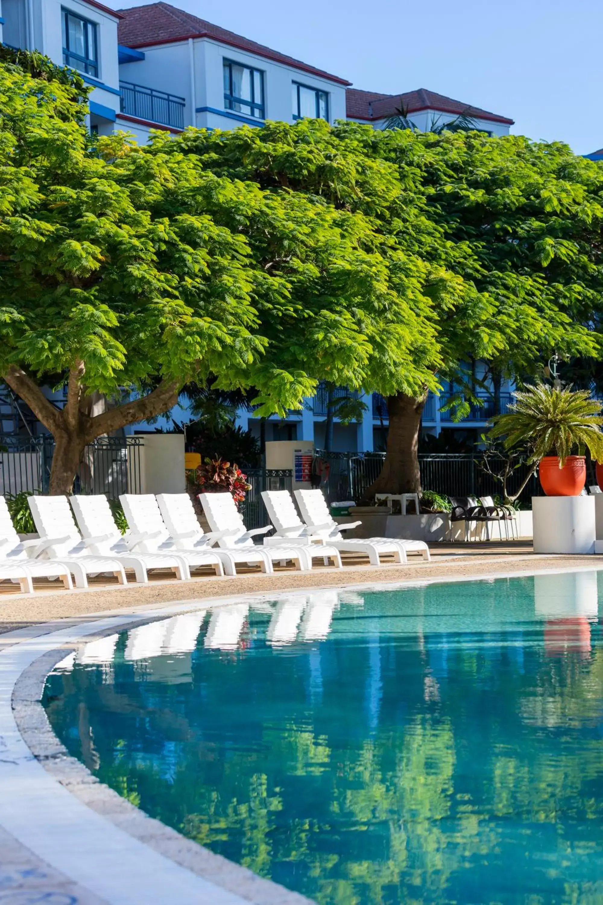 Swimming Pool in Oaks Gold Coast Calypso Plaza Suites