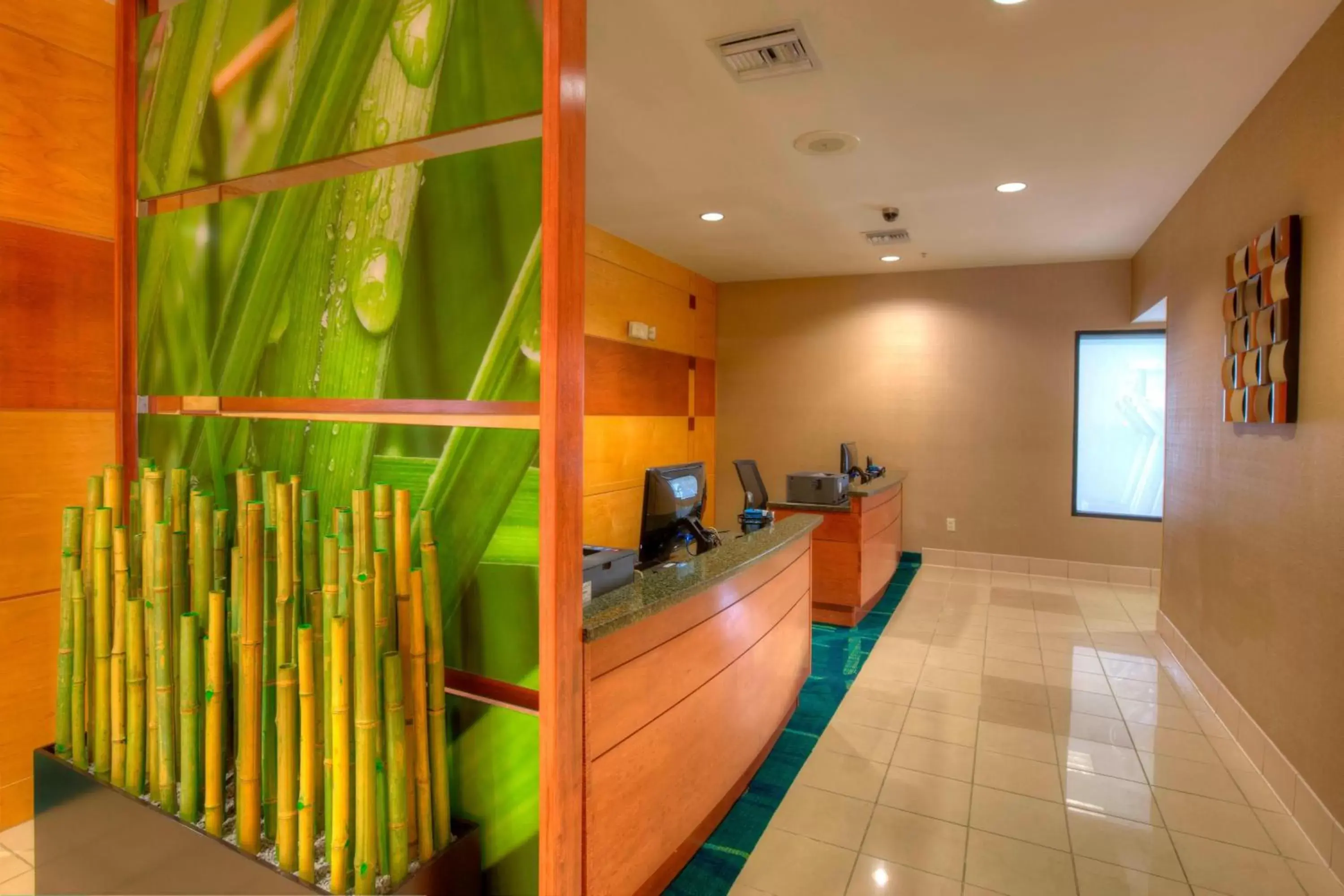 Business facilities, Lobby/Reception in SpringHill Suites by Marriott - Tampa Brandon