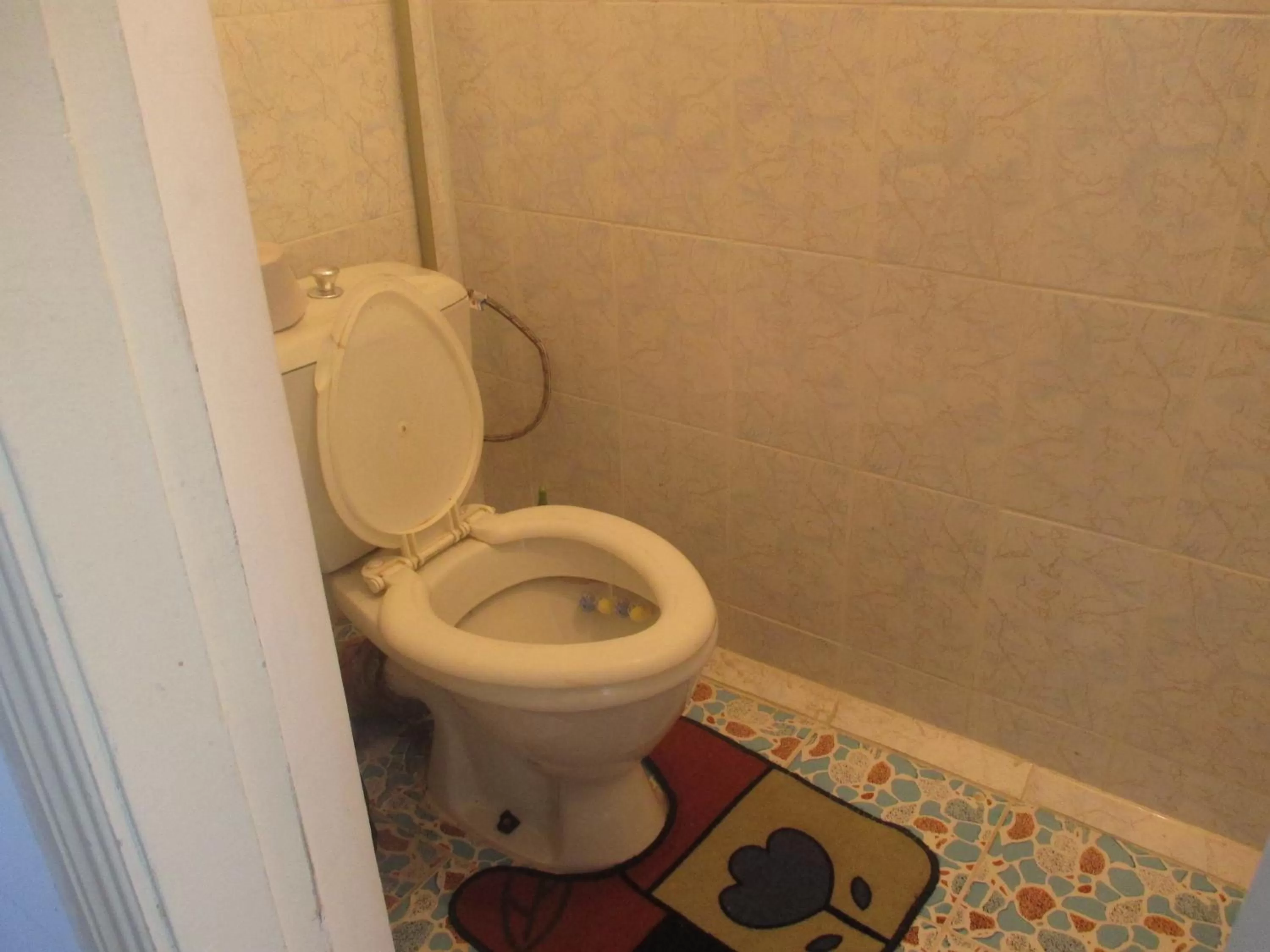 Decorative detail in Otel Issyk-Kul Karakol