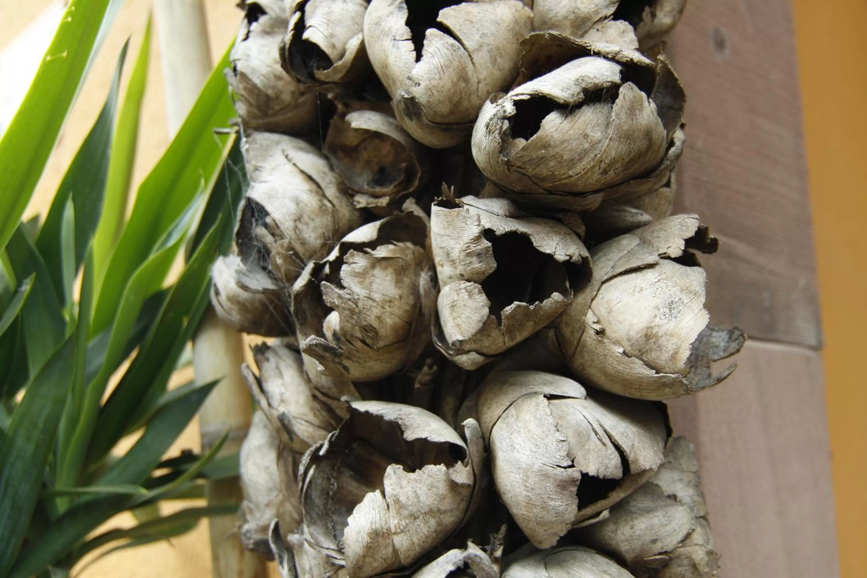 Other in Art Hotel Neckar