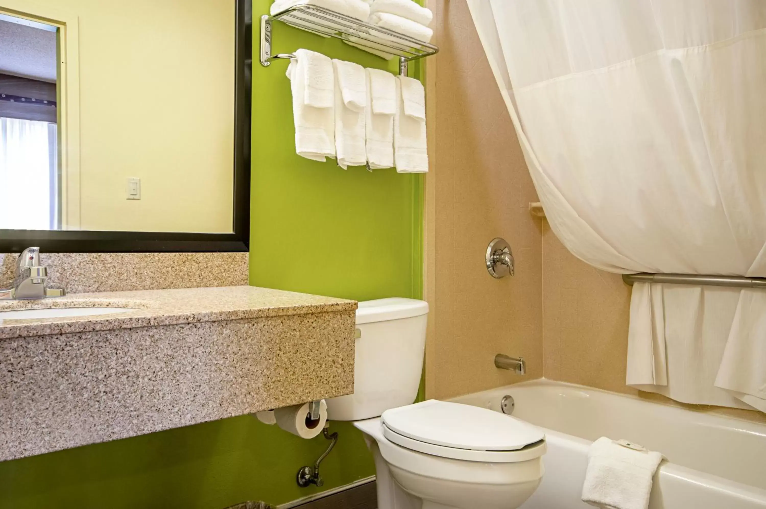 Bathroom in Quality Inn & Suites Glenmont - Albany South