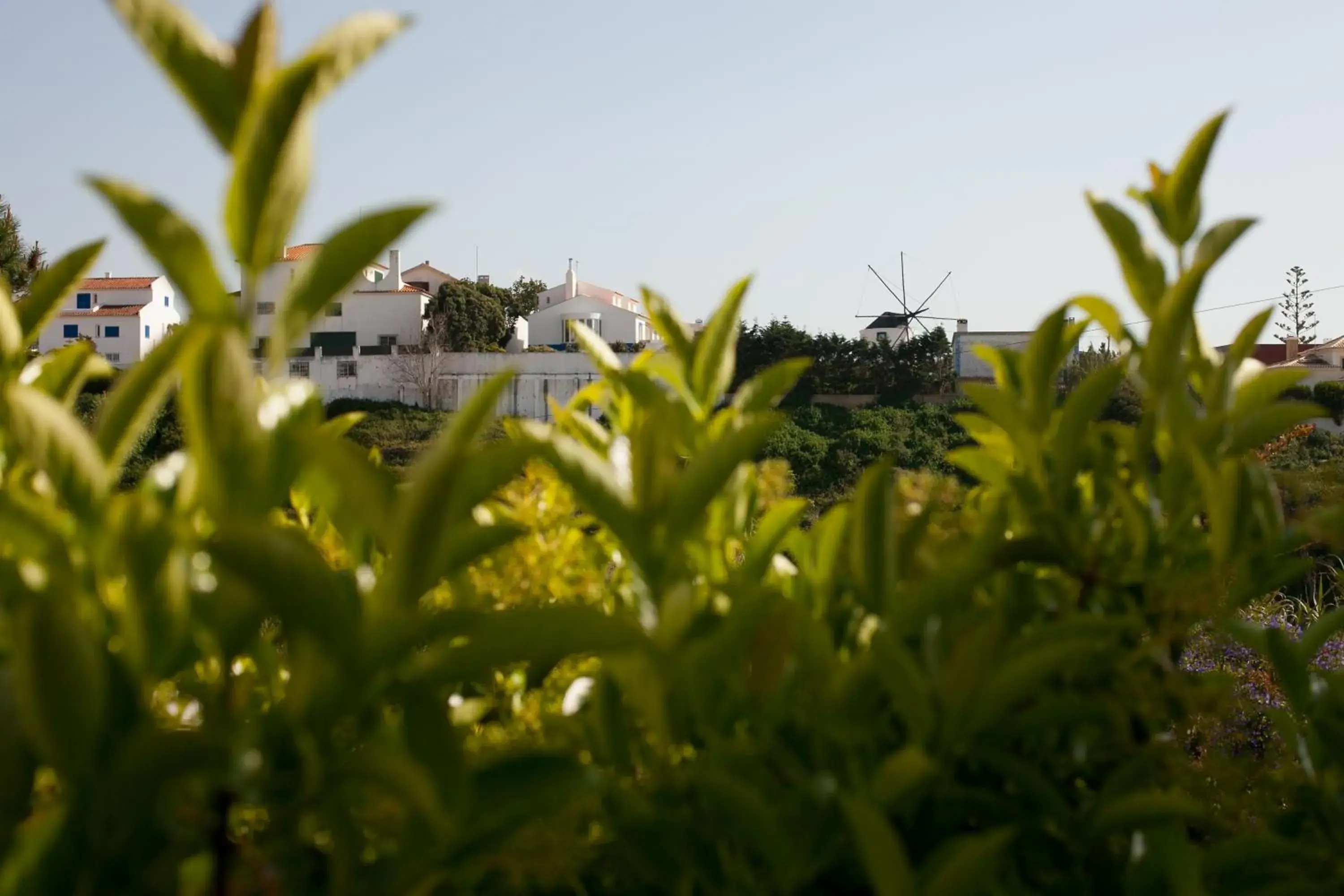 View (from property/room) in Ericeira Chill Hill Hostel & Private Rooms - Peach Garden