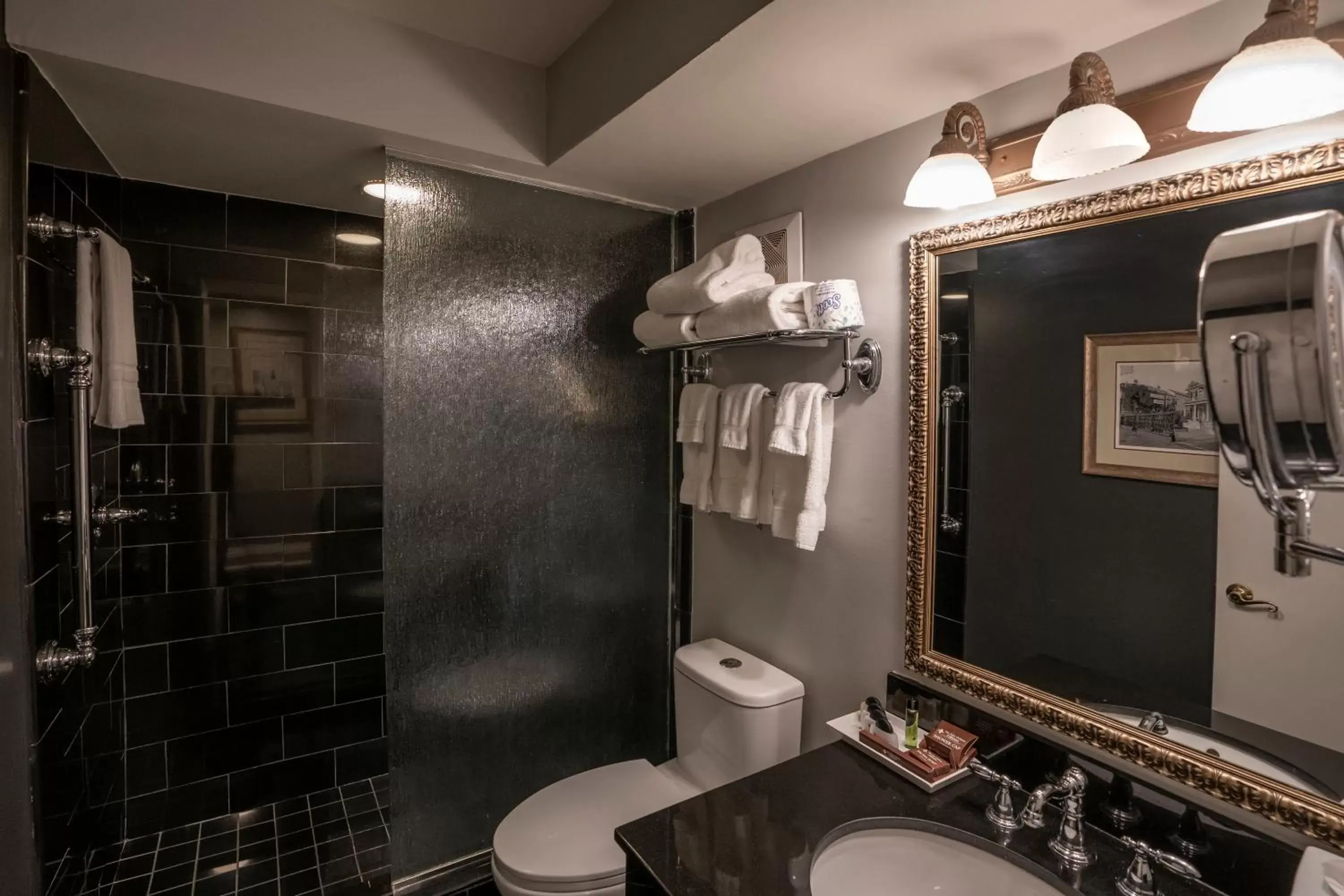 Shower, Bathroom in Bourbon Orleans Hotel
