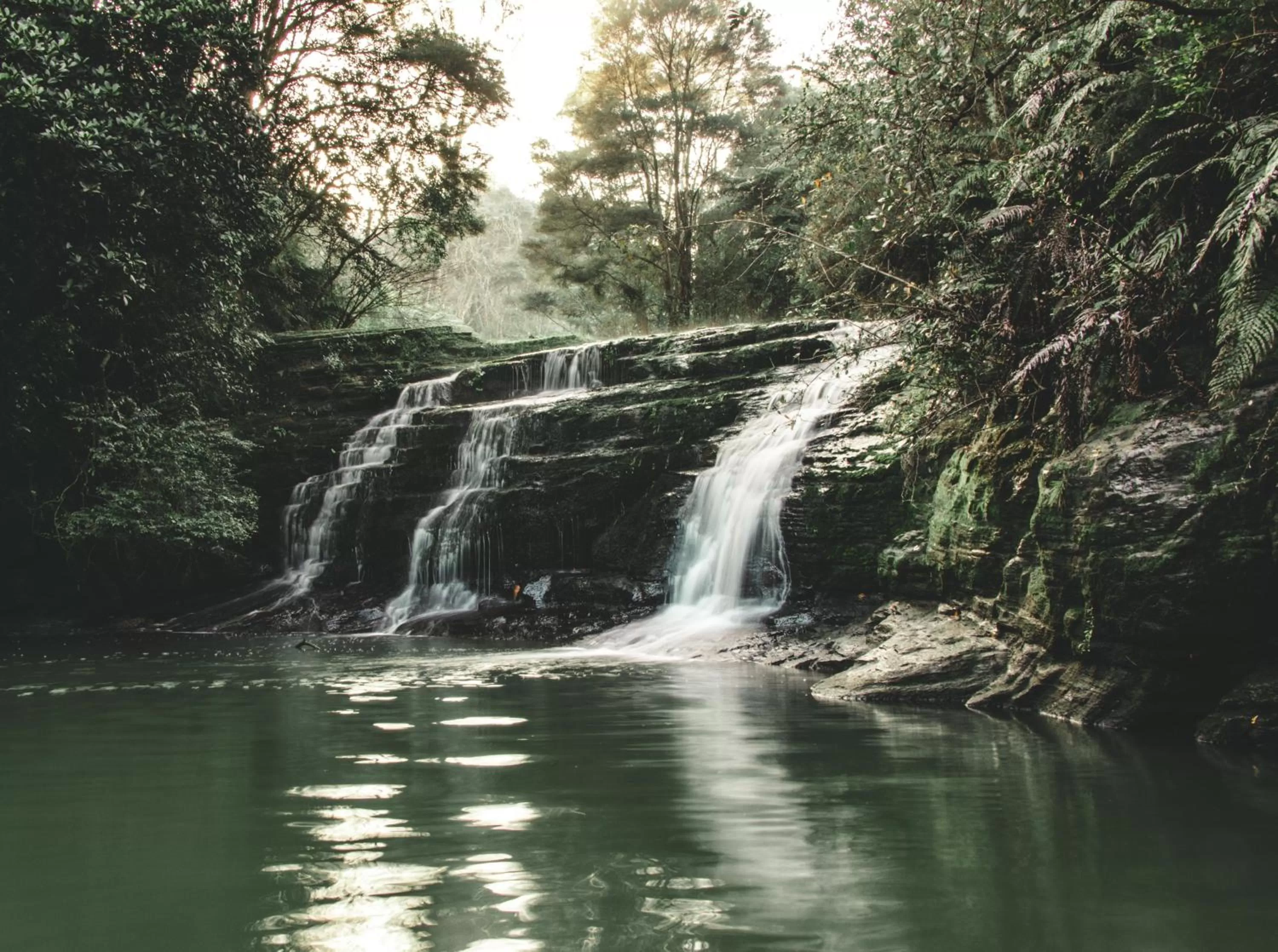 Natural landscape in Kawai Purapura Yoga Retreat Centre