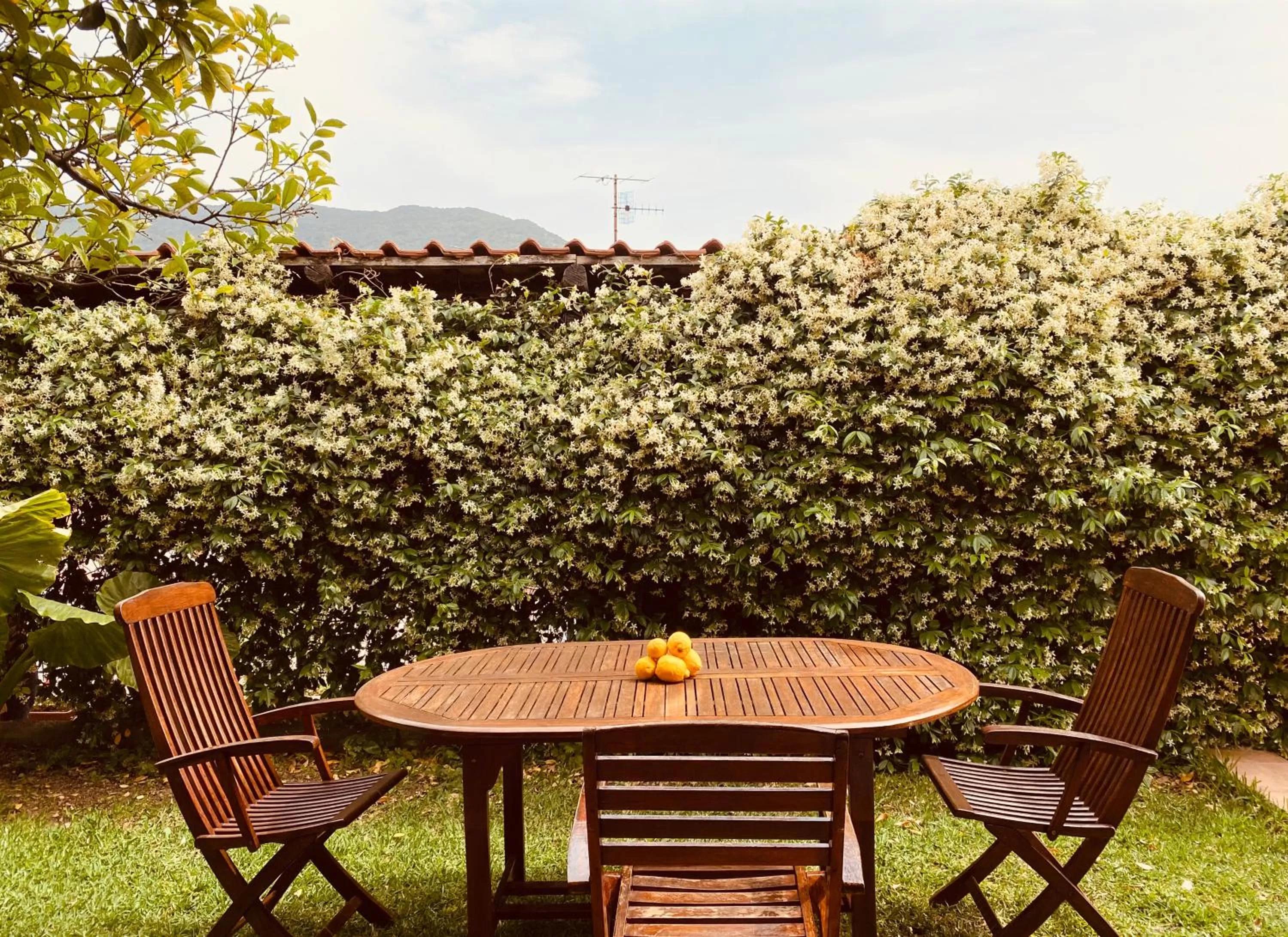 Garden in Bed & Breakfast Spigolatrice