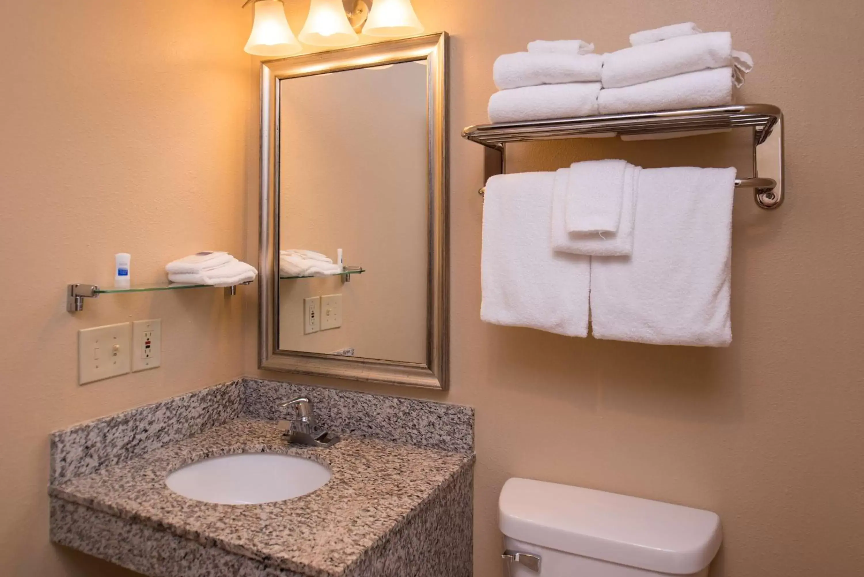 Bathroom in Best Western Ambassador Inn & Suites