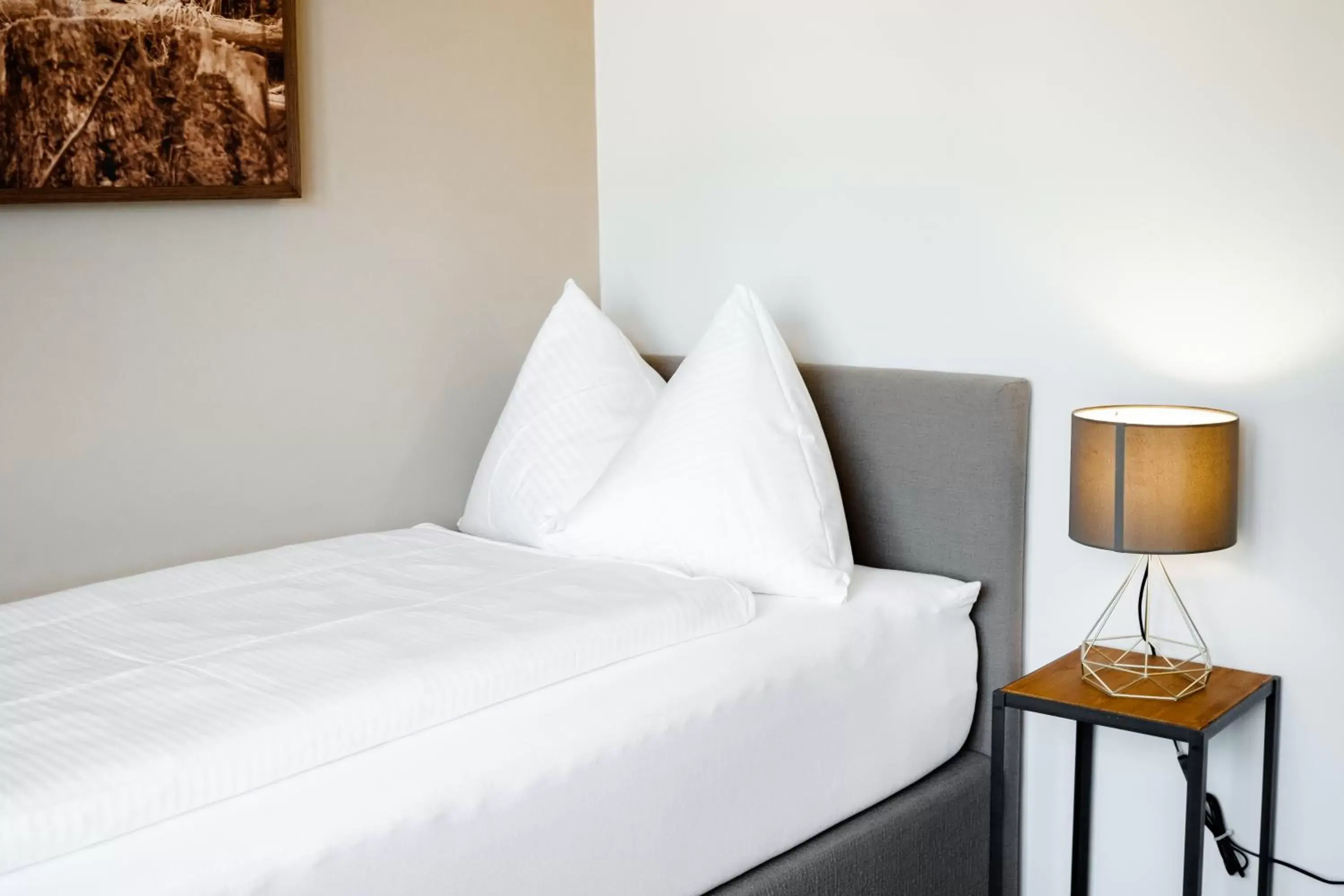 Single Room with Village View in Alpenblick Weggis - Panorama & Alpen Chic Hotel