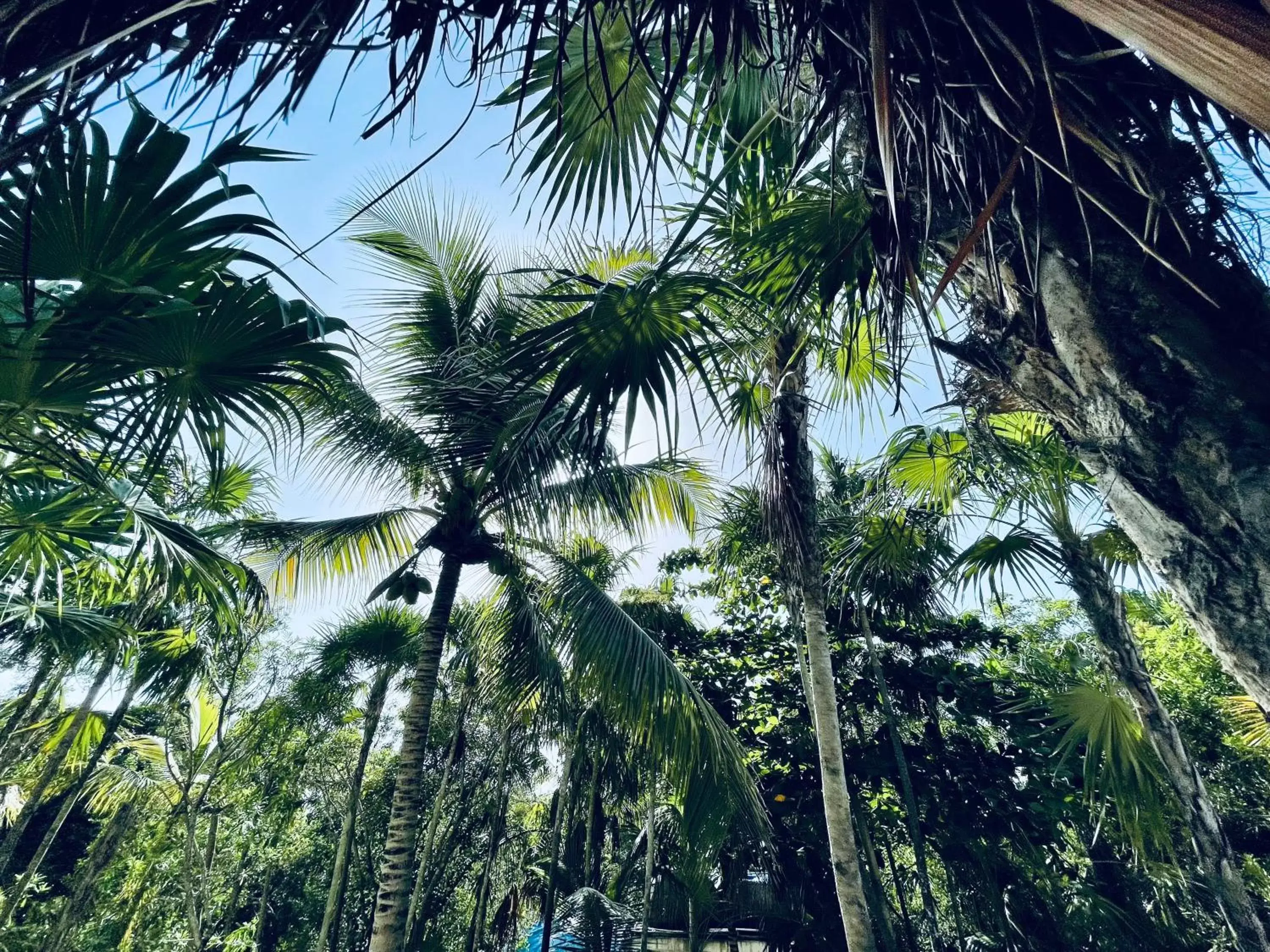 Natural landscape in Pal Mar Glamtainer Tulum