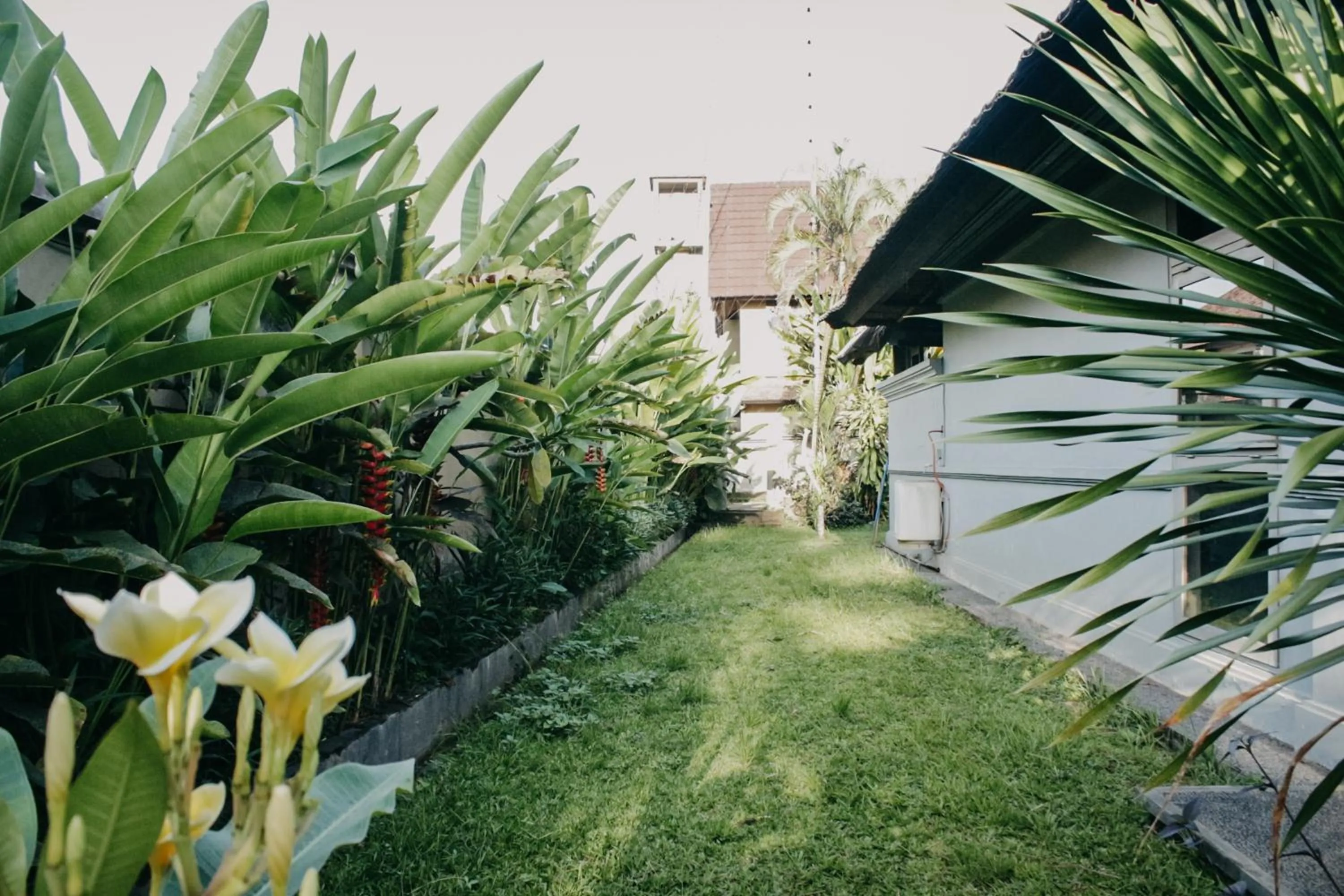 Garden in Villa Puri Darma Agung