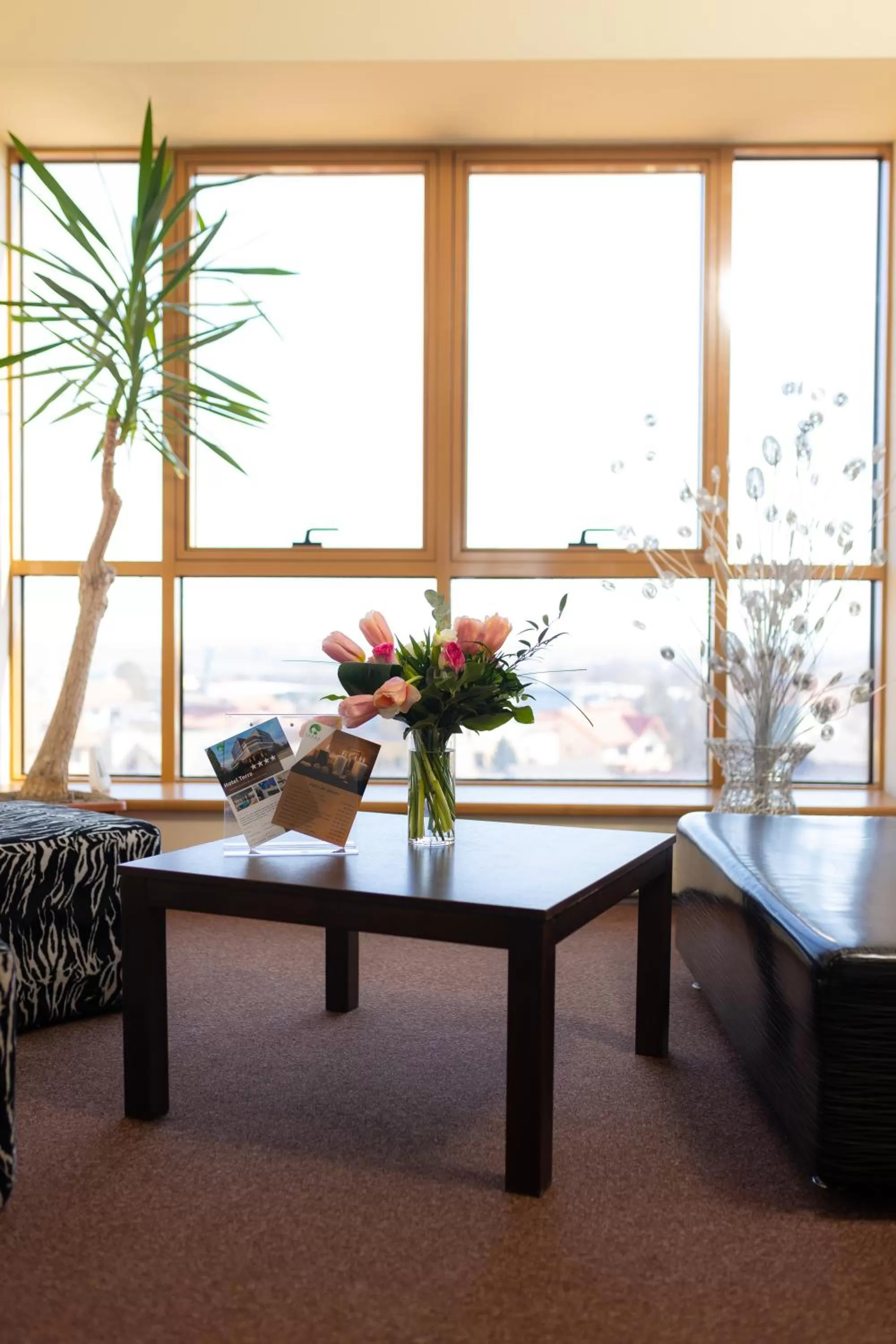 Area and facilities in Hotel Terra Balneo