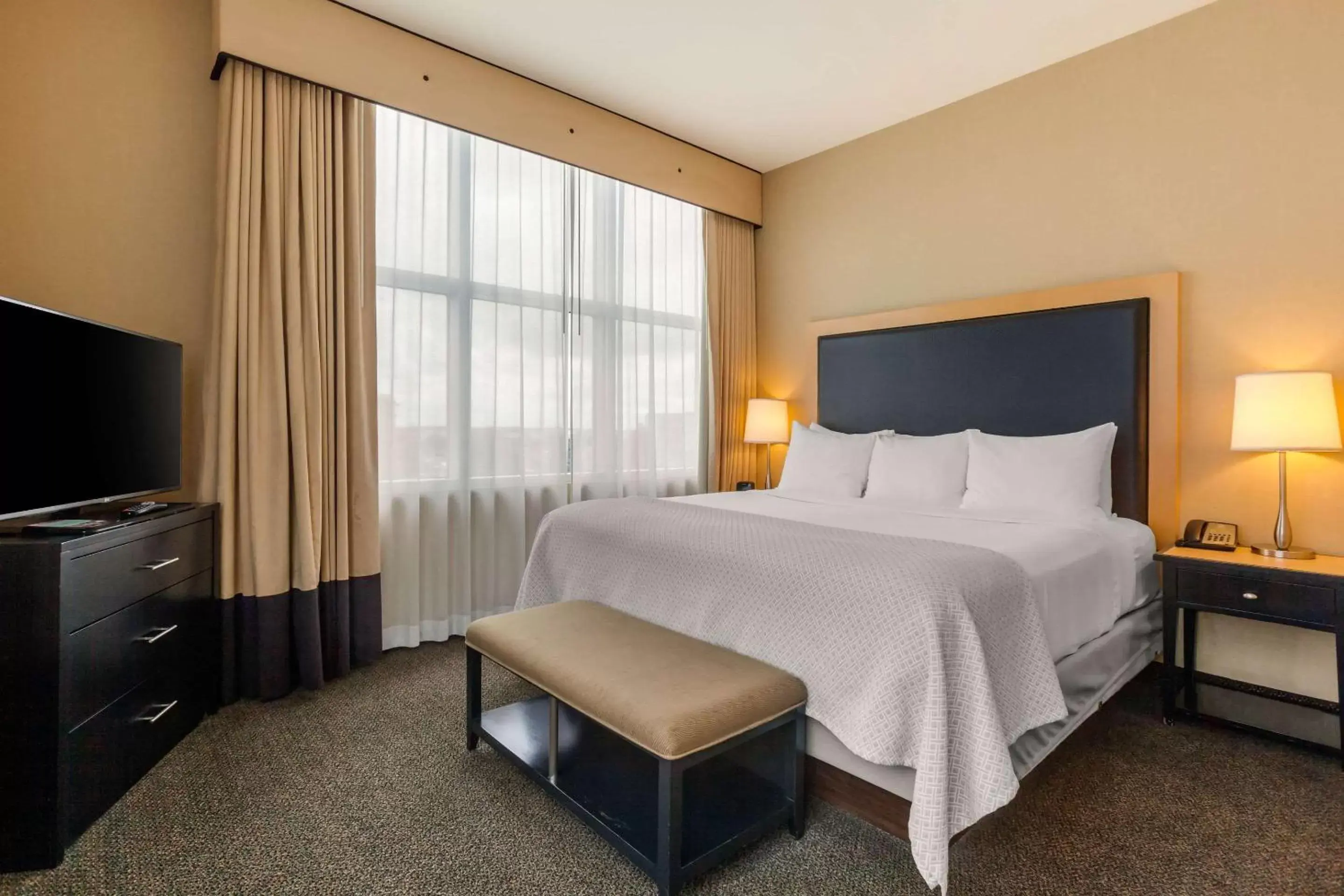 Photo of the whole room, Bed in Cambria Hotel Denver International Airport