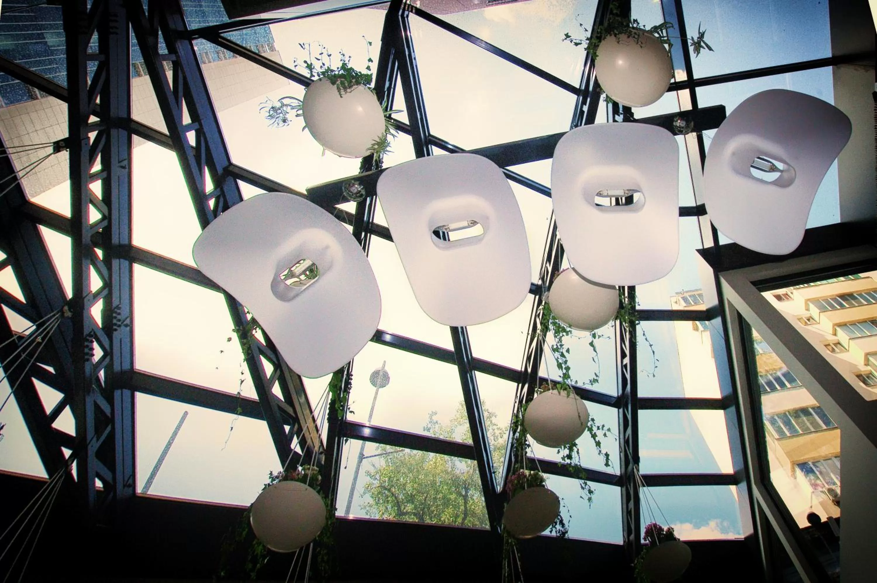 Restaurant/places to eat in Hotel Berthelot