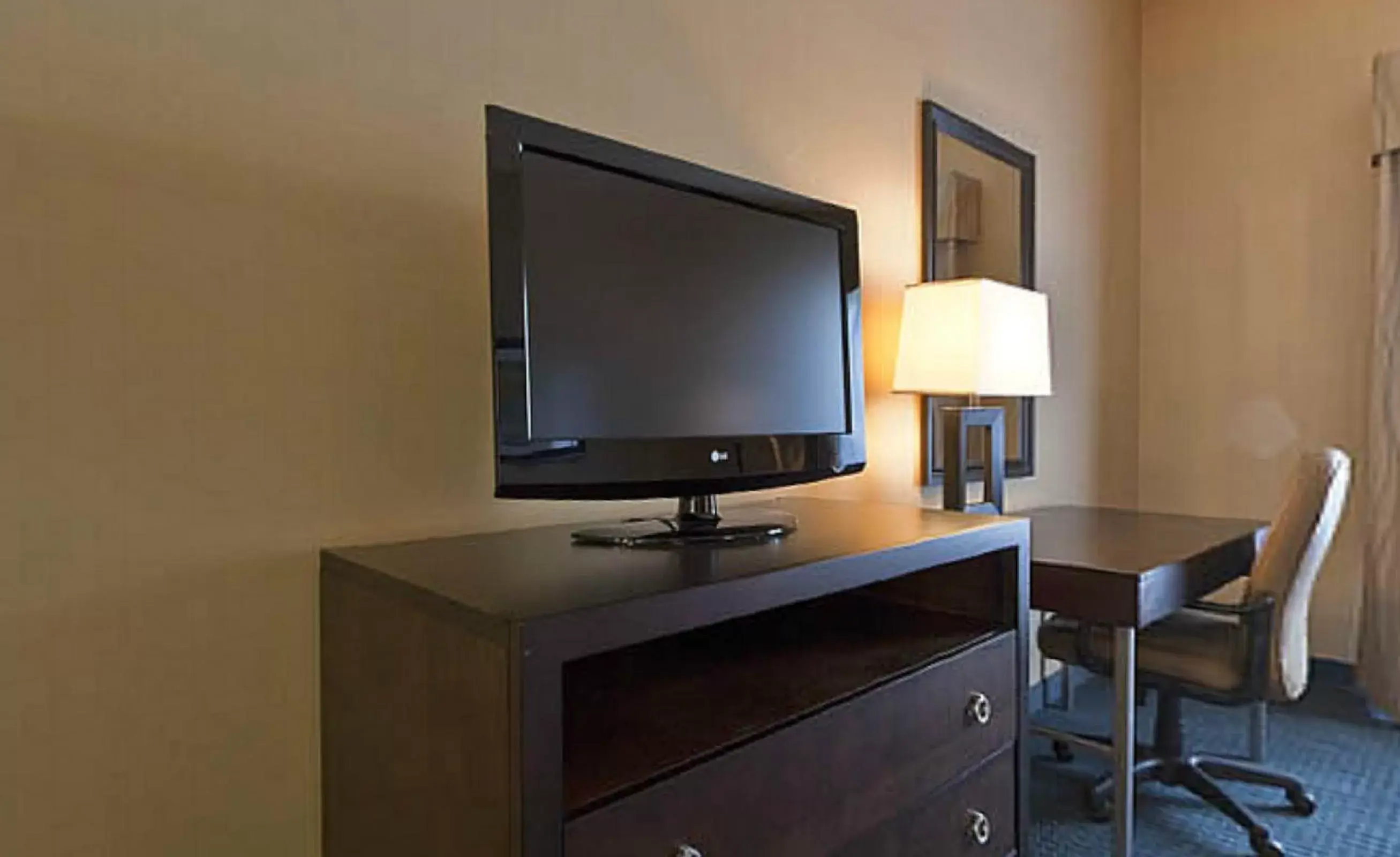 TV and multimedia, TV/Entertainment Center in Holiday Inn Express Hotel & Suites - Novi, an IHG Hotel