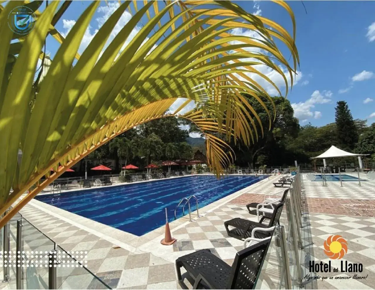 Swimming Pool in Hotel del Llano