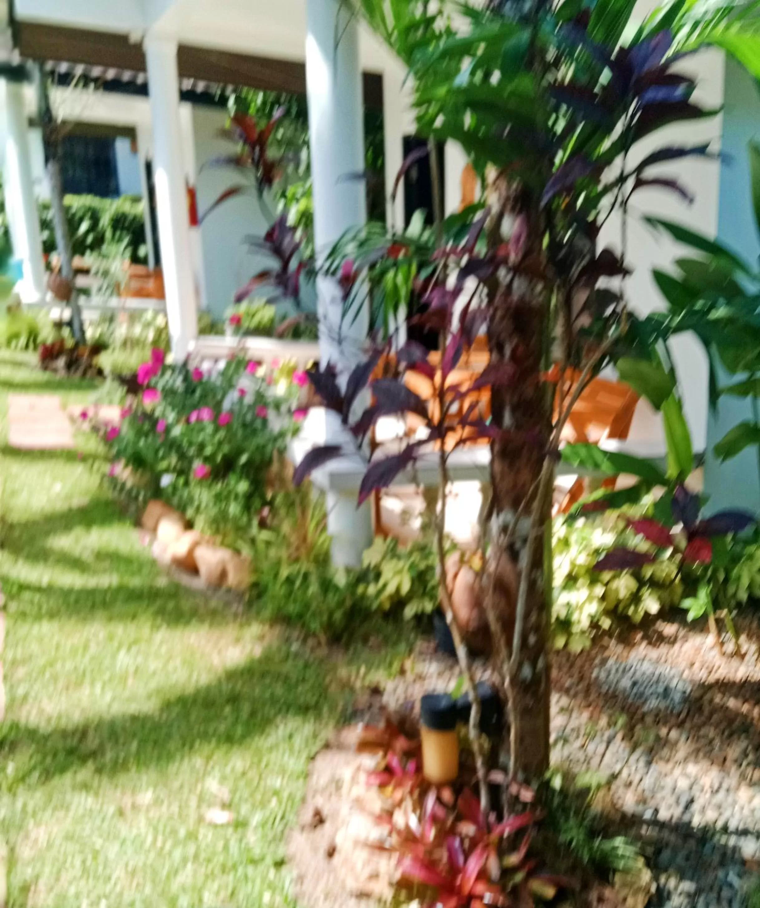 Privacy Resort - Koh Chang