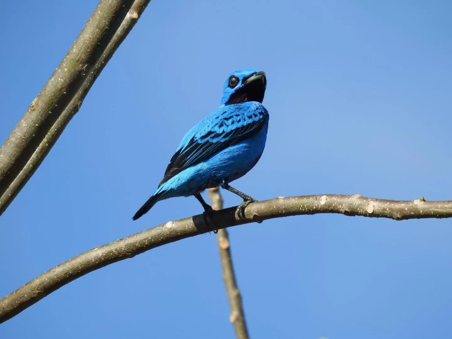 Off site in Hotel Zima