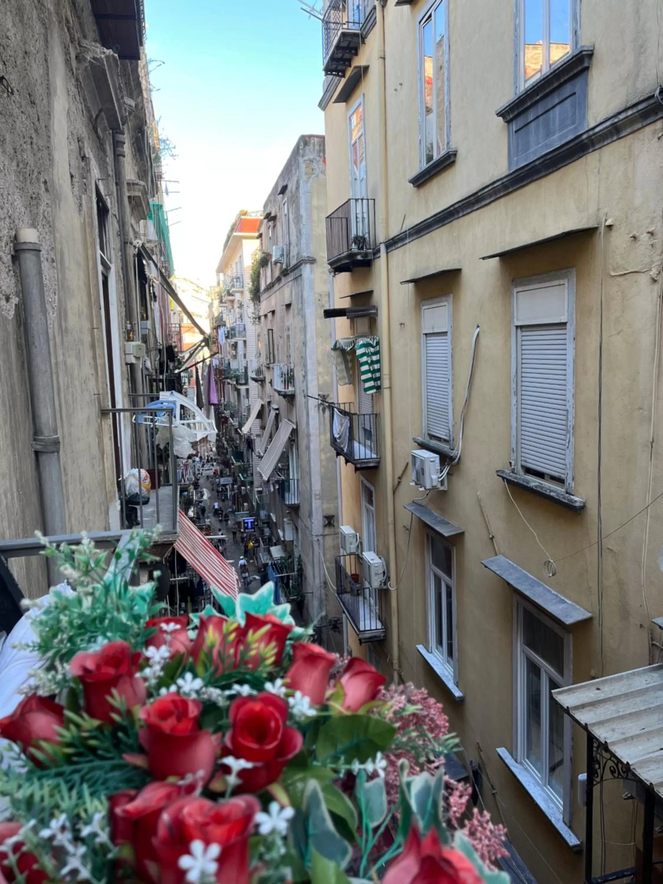 Neighbourhood in BeB PISADOG