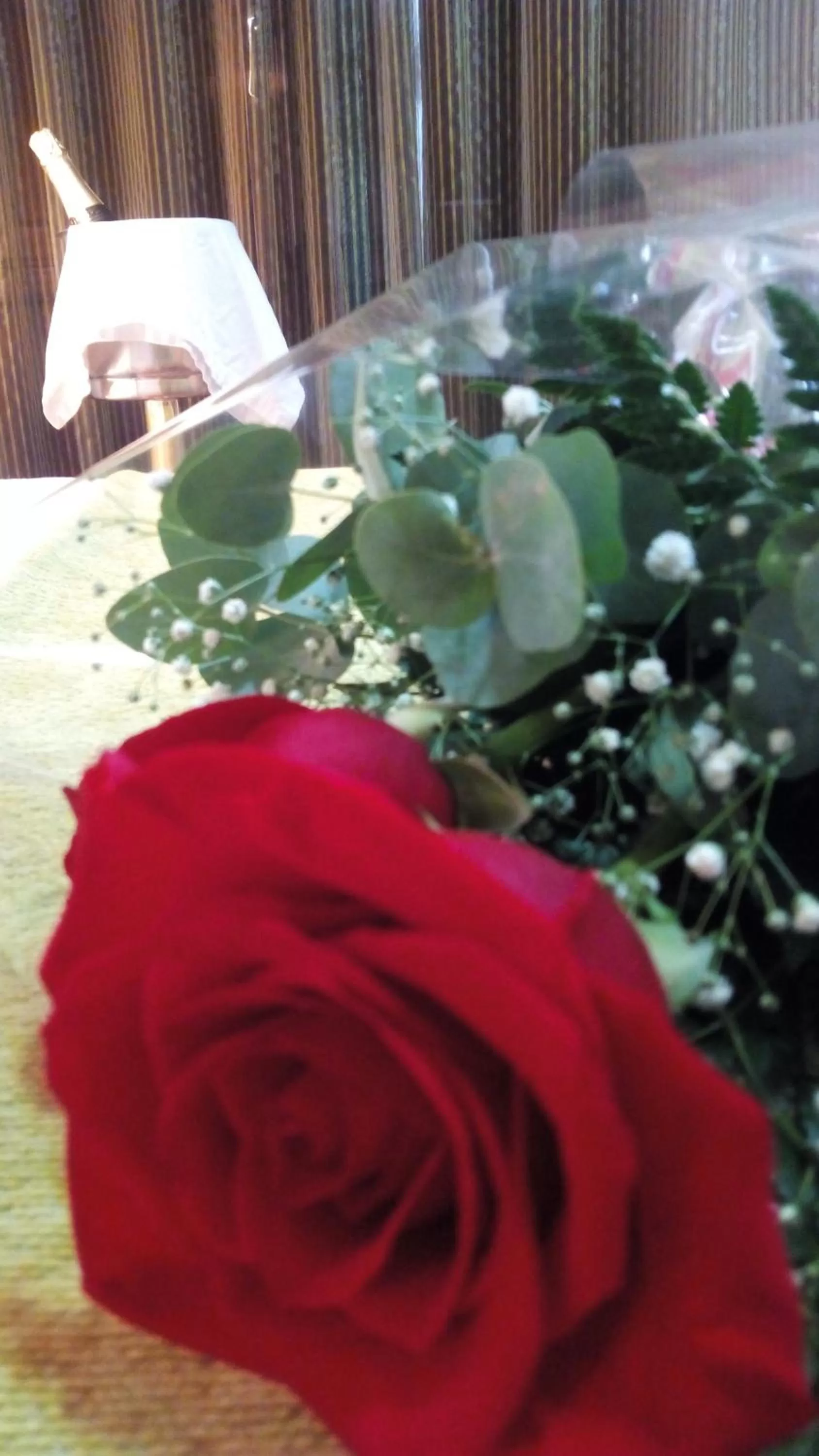 Food and drinks in Las Nieves