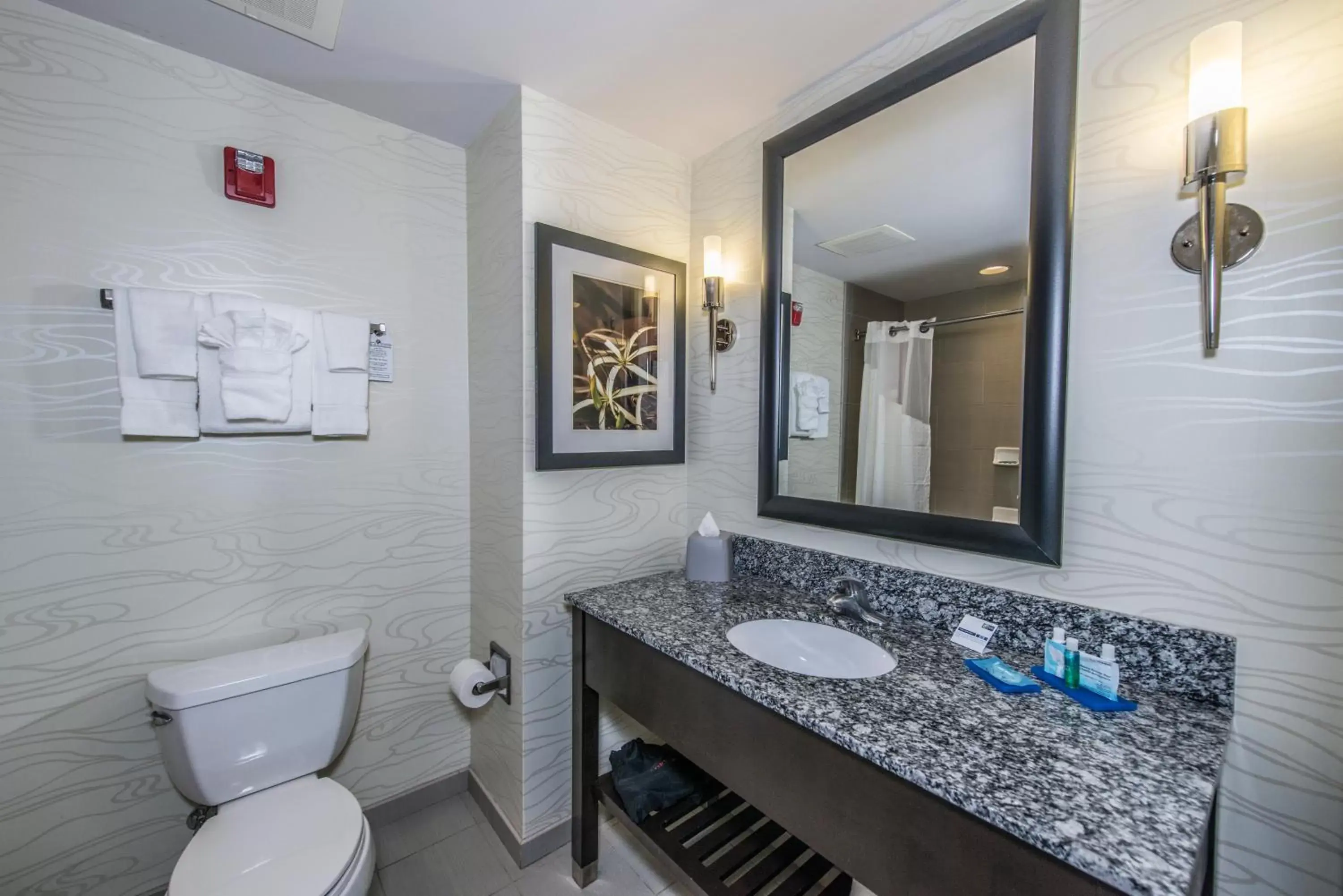 Bathroom in Holiday Inn Express and Suites North Charleston, an IHG Hotel