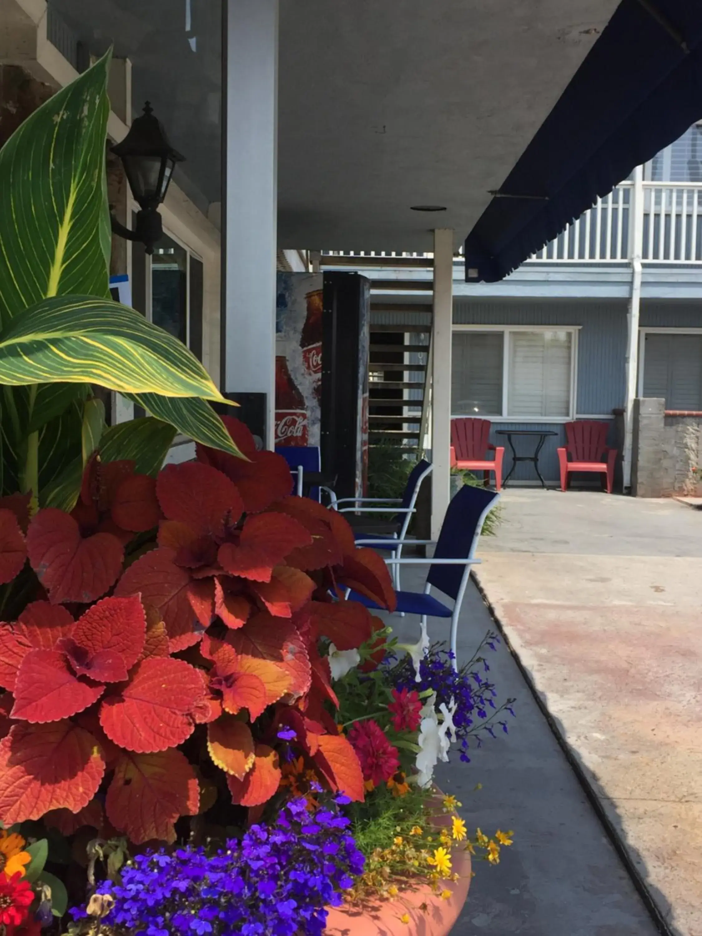 Patio in The Shores Inn