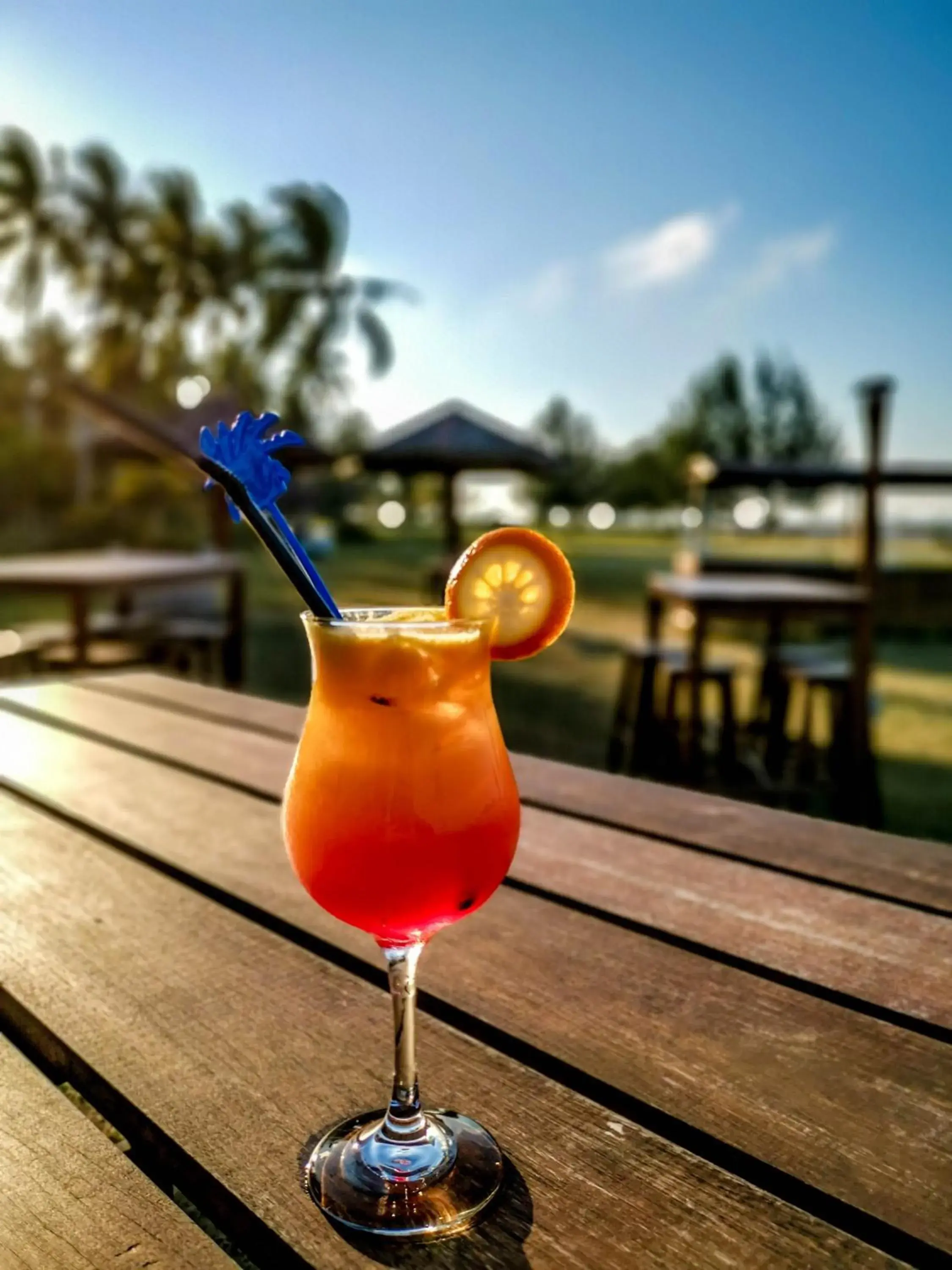 Drinks in Palm Beach Resort & Spa