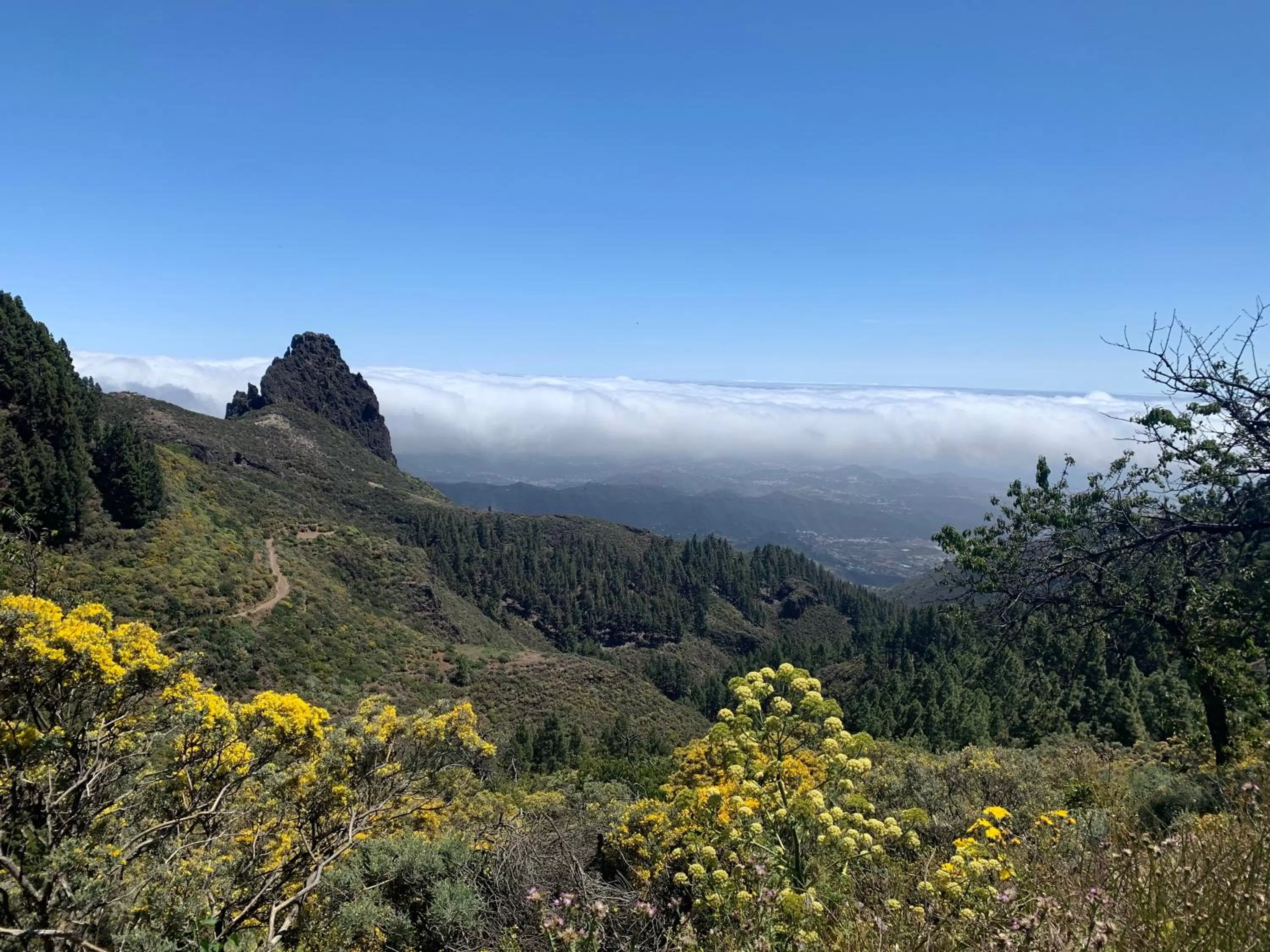 Natural landscape in Villa Rosaura