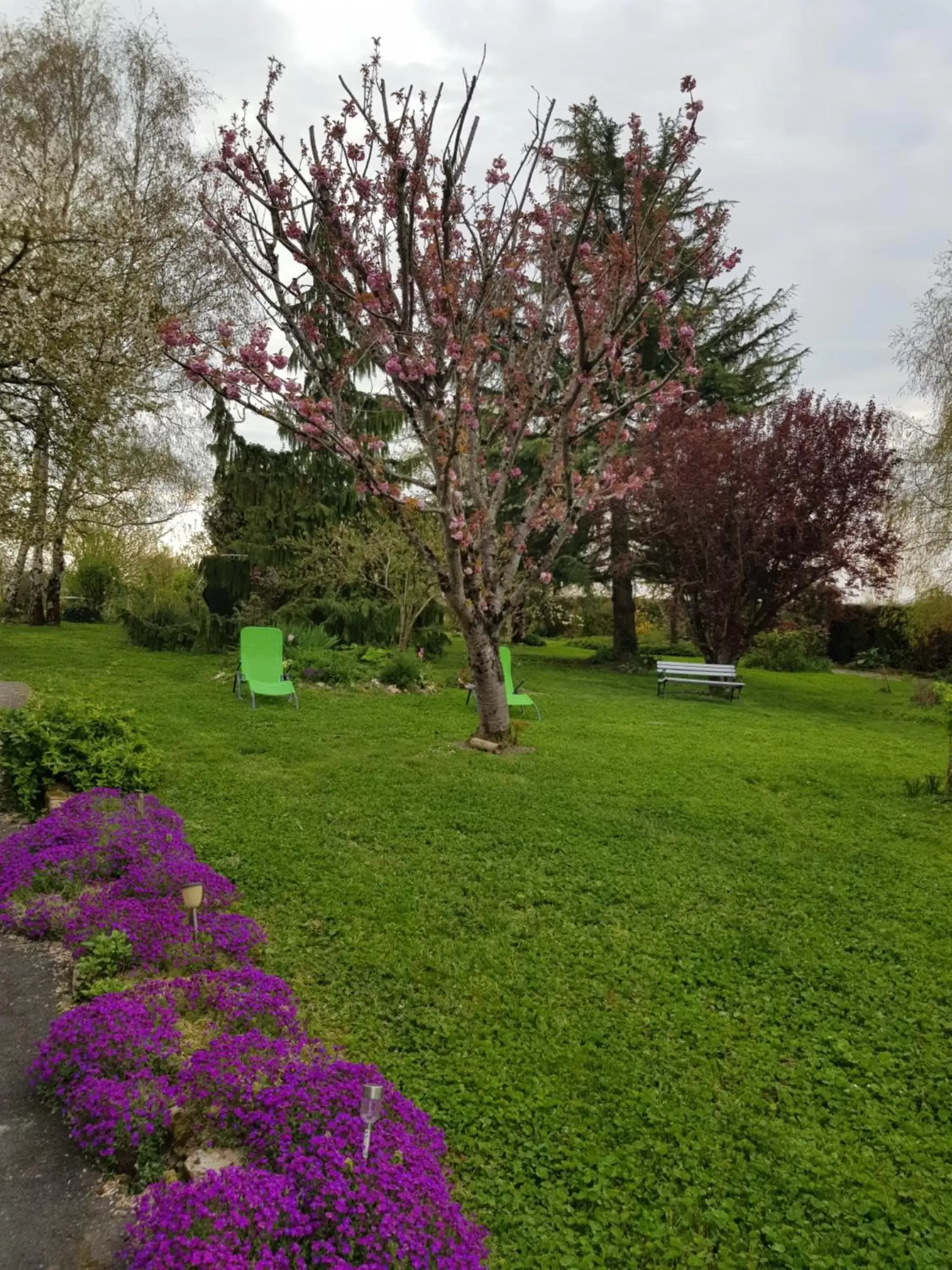 Garden in Chambres D'hôtes Anne-Marie