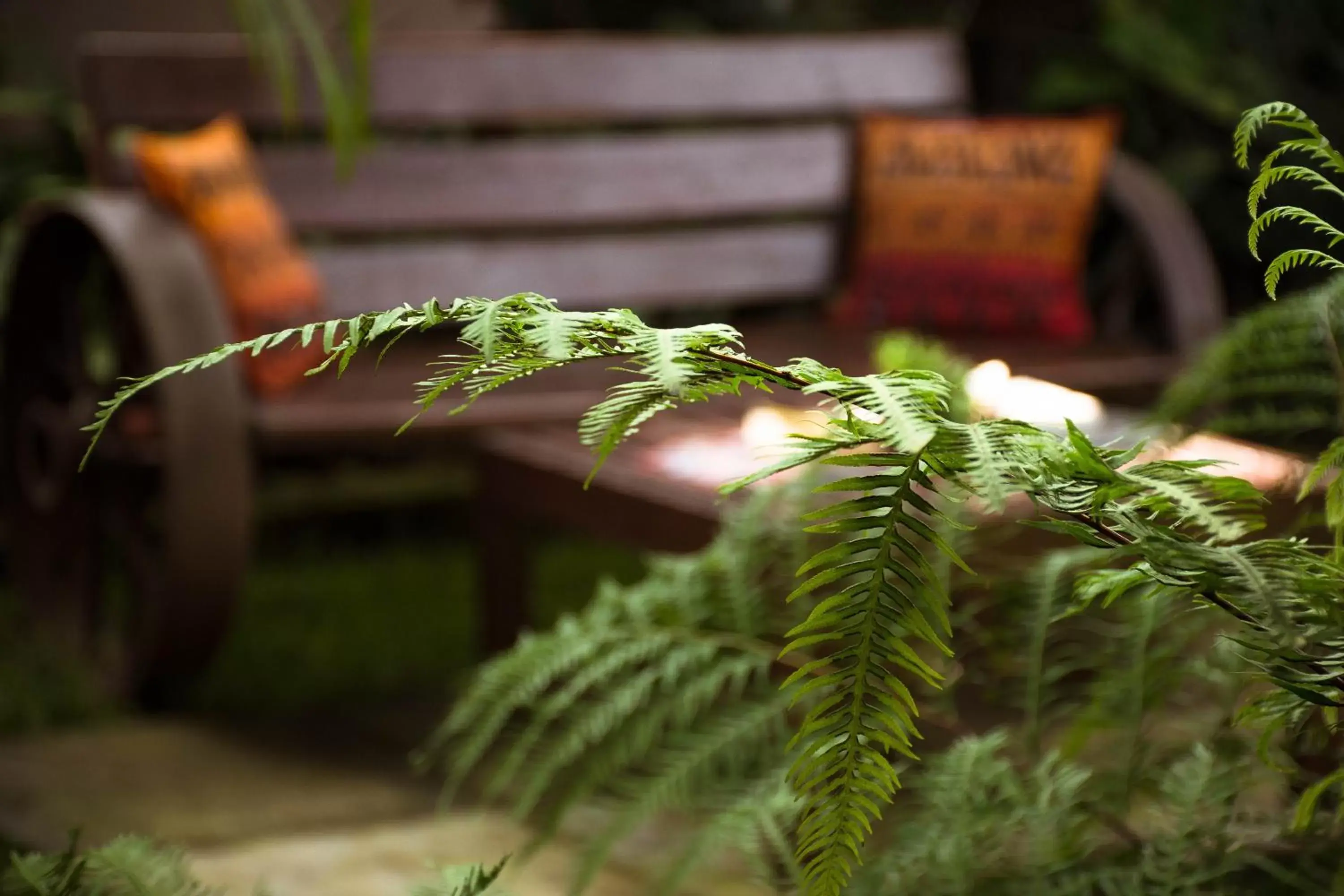 View (from property/room) in Zawadi House Lodge View (from property/room) in Zawadi House Lodge