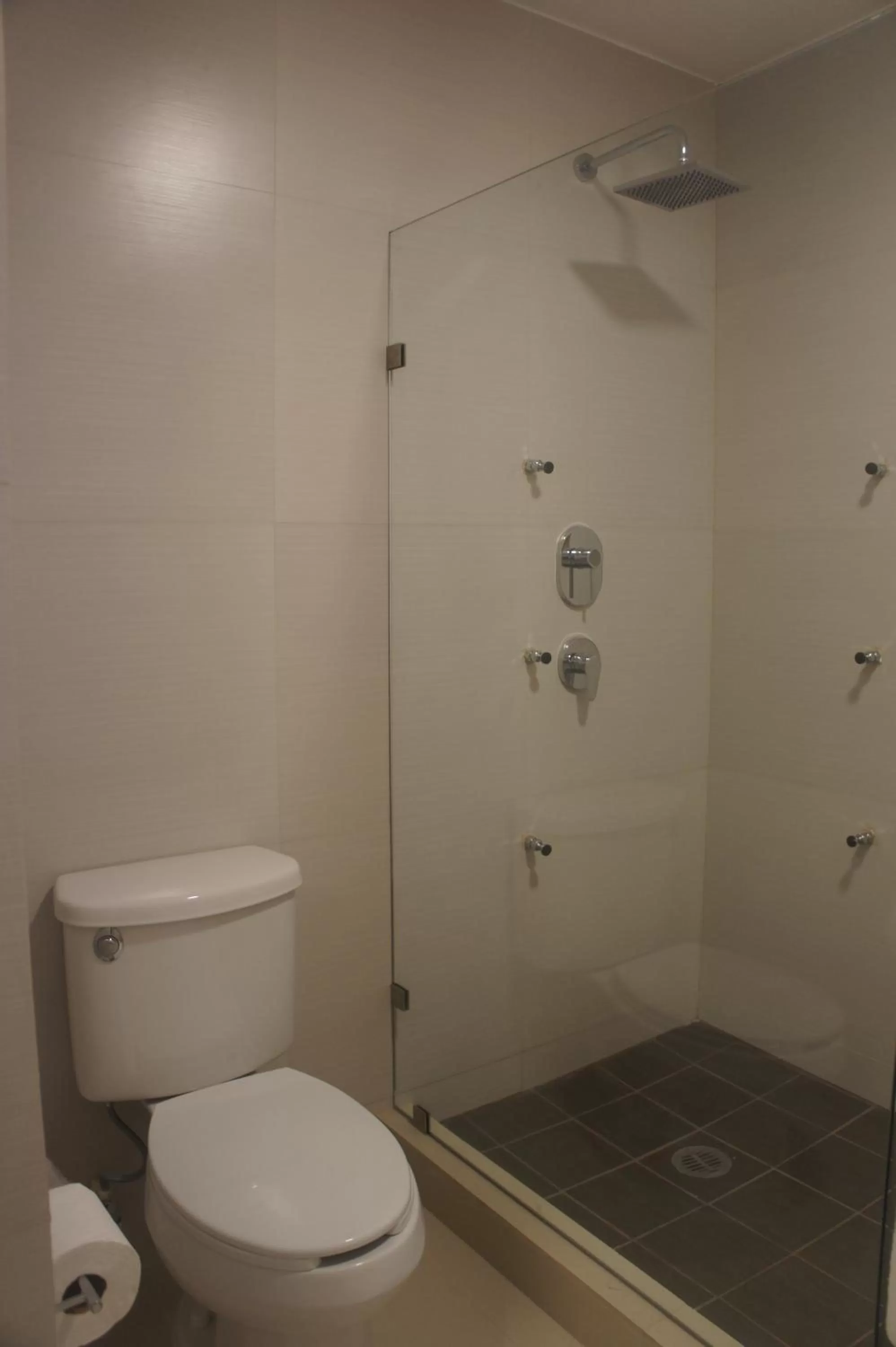 Bathroom in Suites San Luis