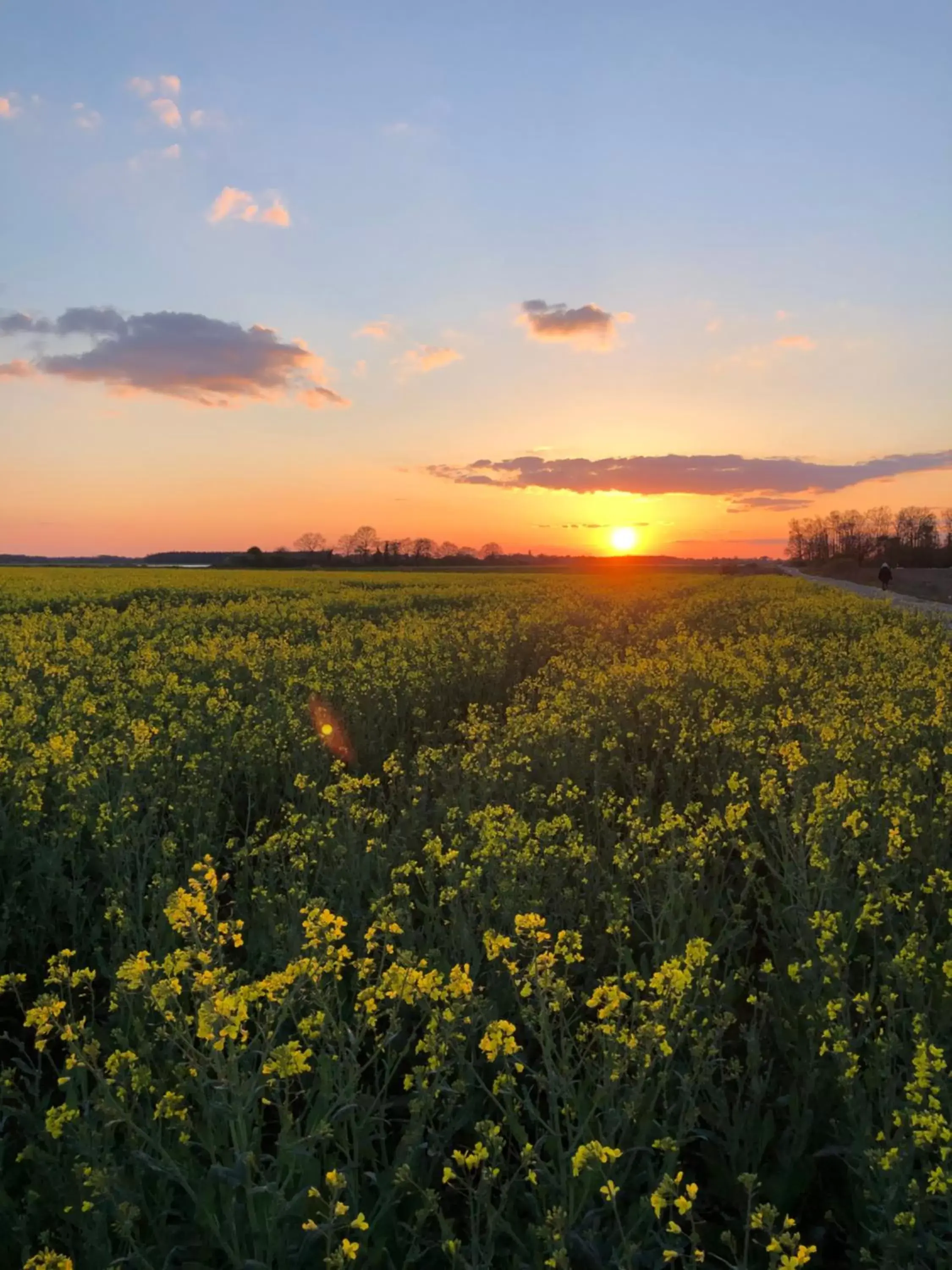 Natural landscape in La plaine de l'Angelus