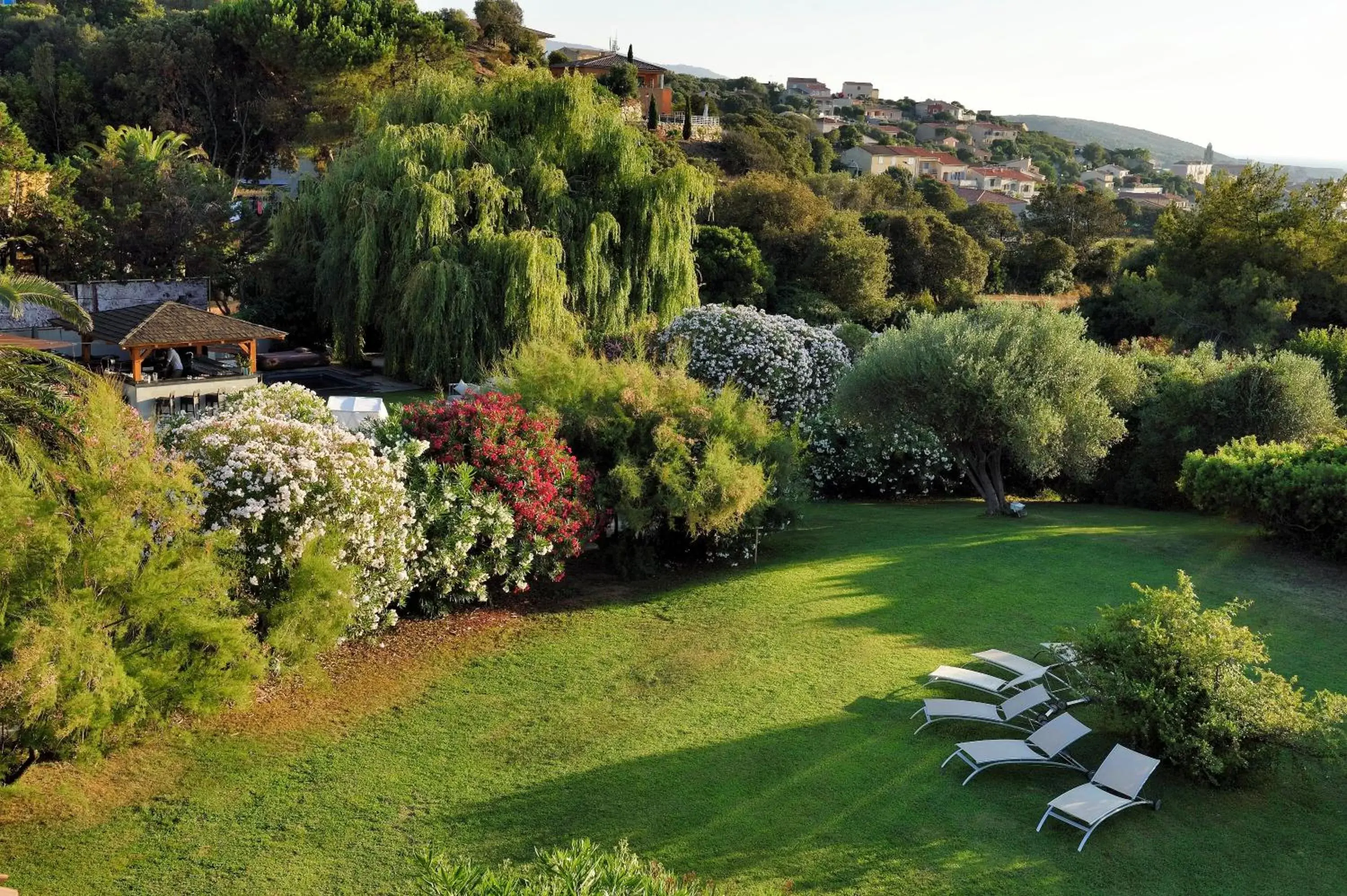 Garden in Hotel Bartaccia