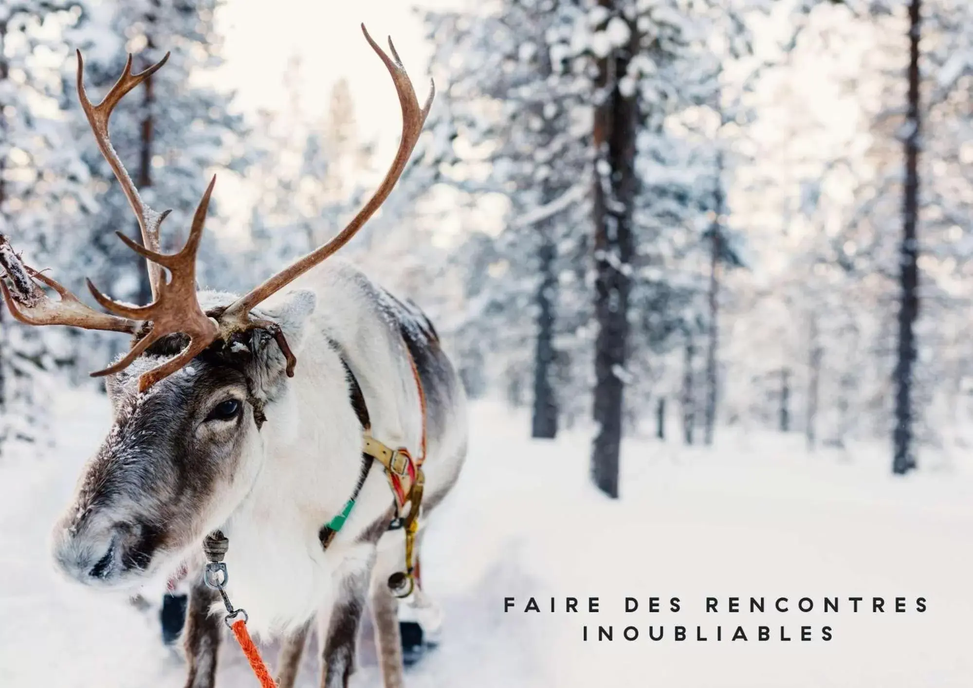 Natural landscape, Winter in Ecrin Blanc Resort Courchevel