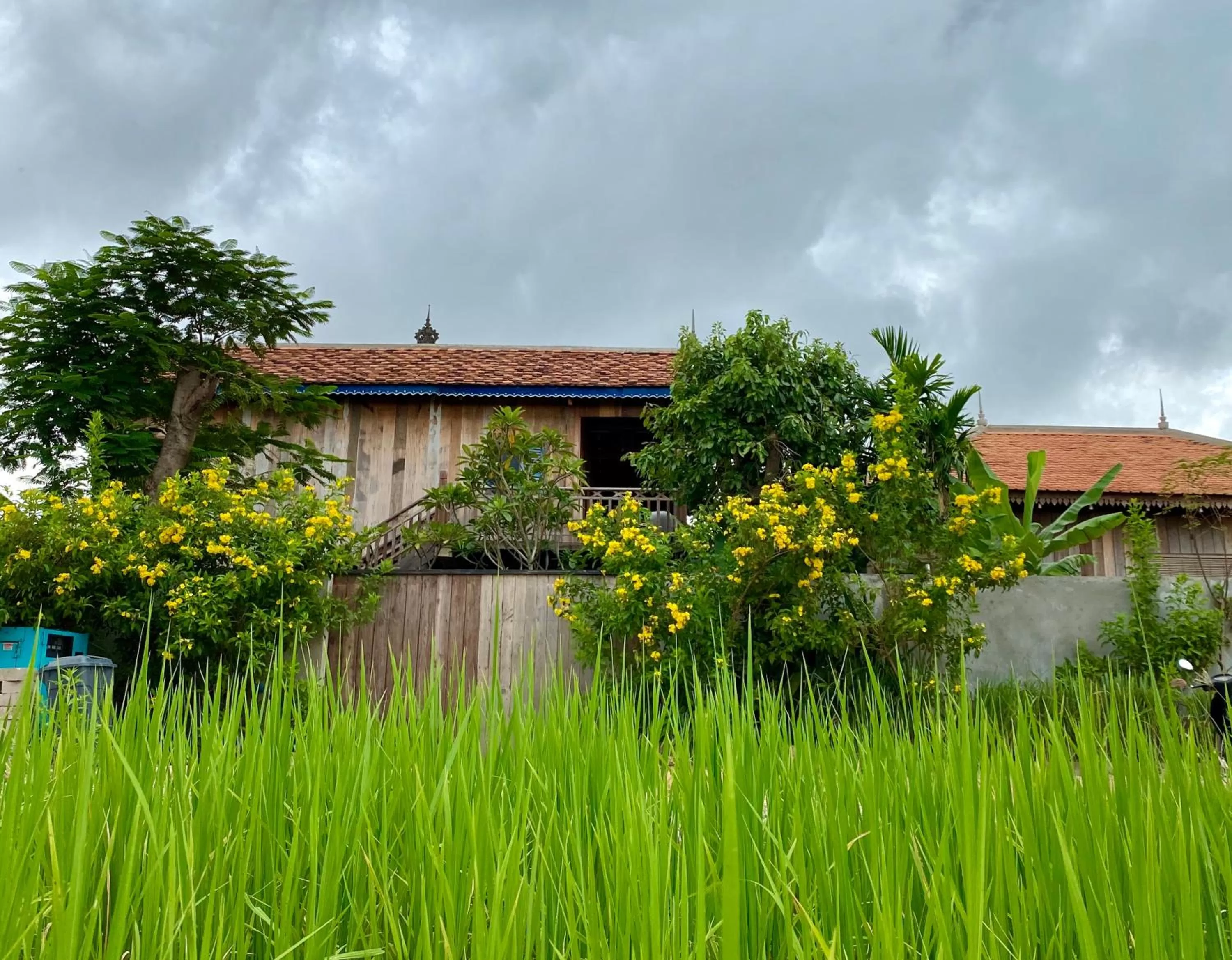 Property building in Dontrei Villa Angkor