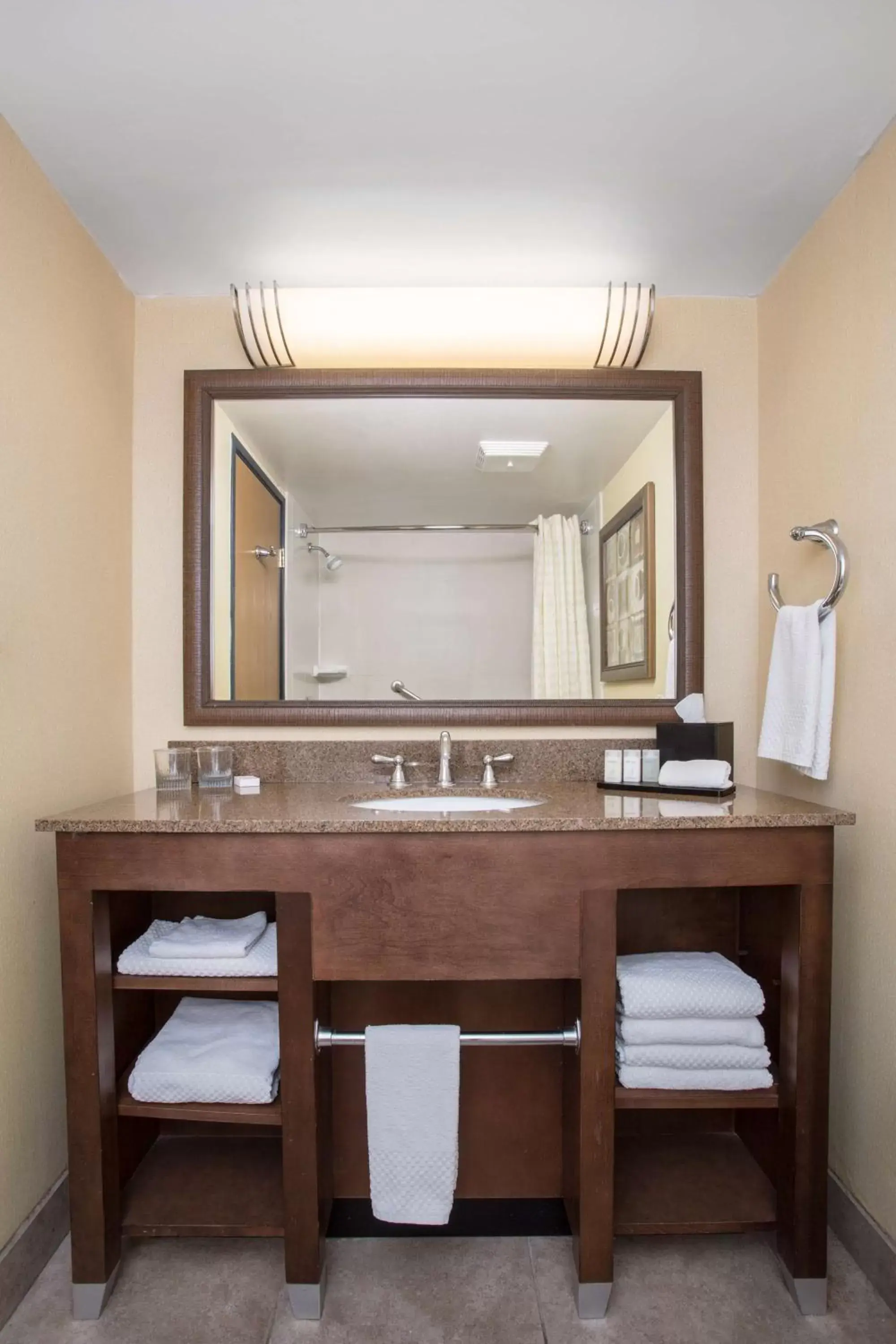 Bathroom in Embassy Suites by Hilton Phoenix Biltmore