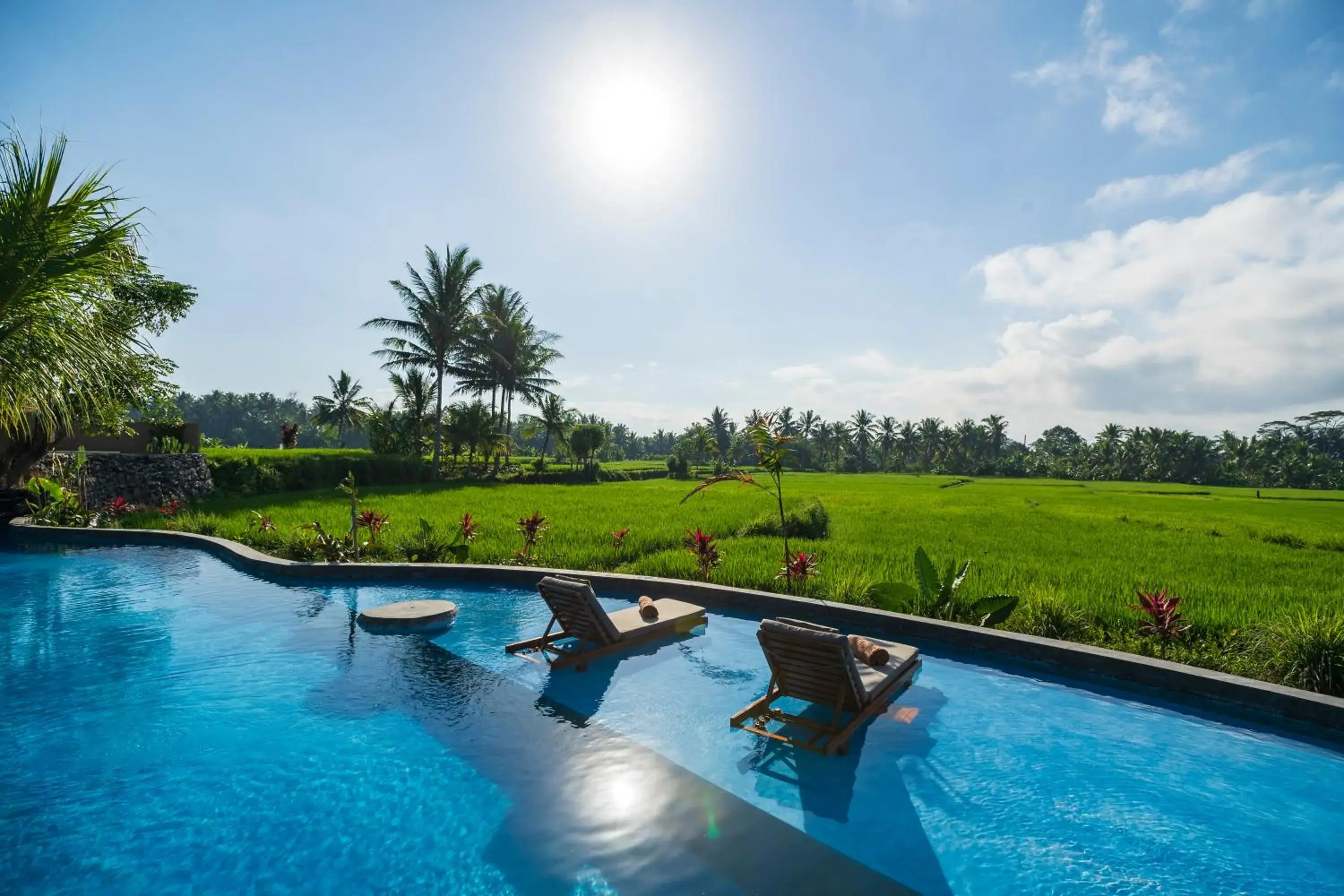 Swimming Pool in Beehouse Dijiwa Ubud