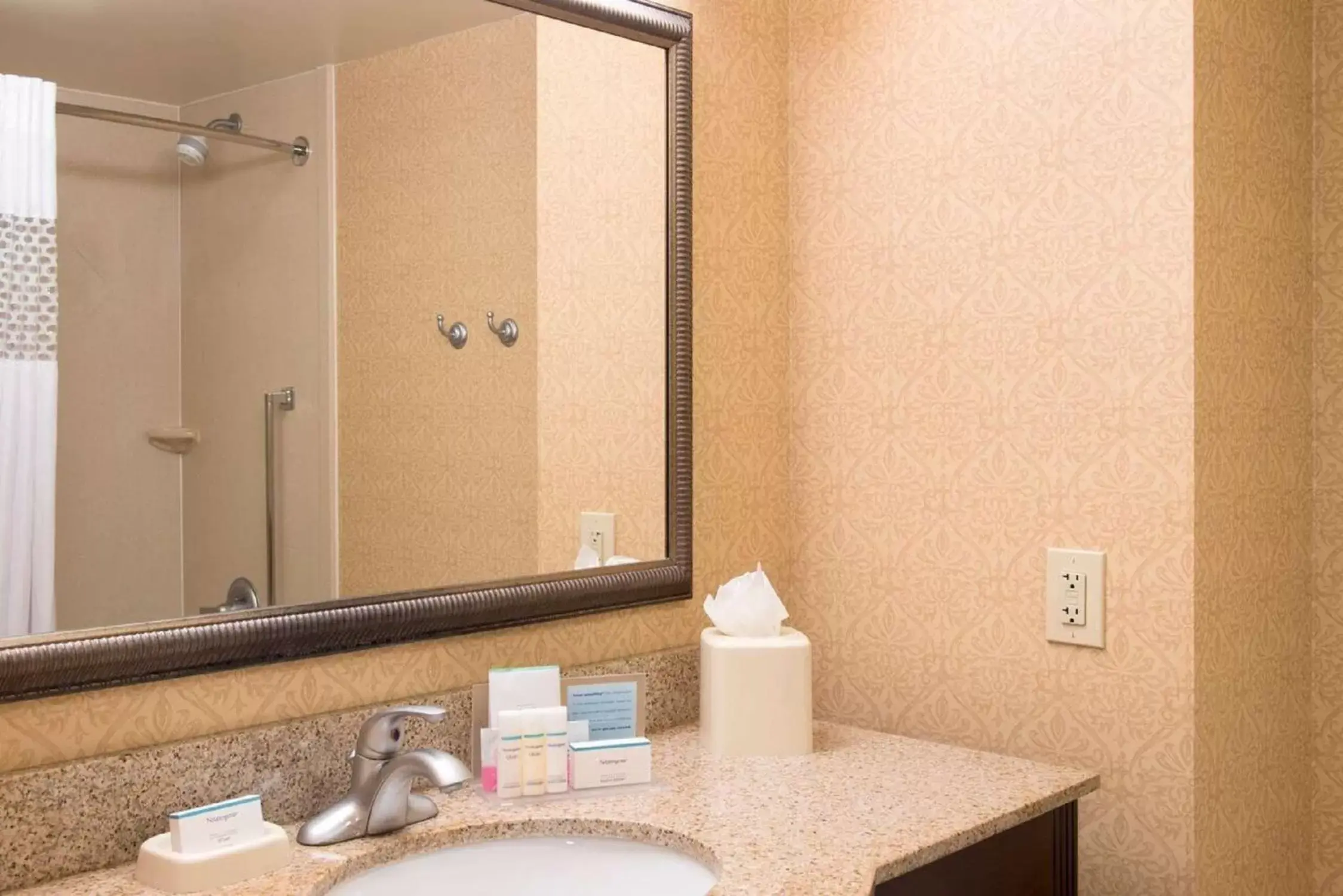 Bathroom in Hampton Inn Schenectady Downtown