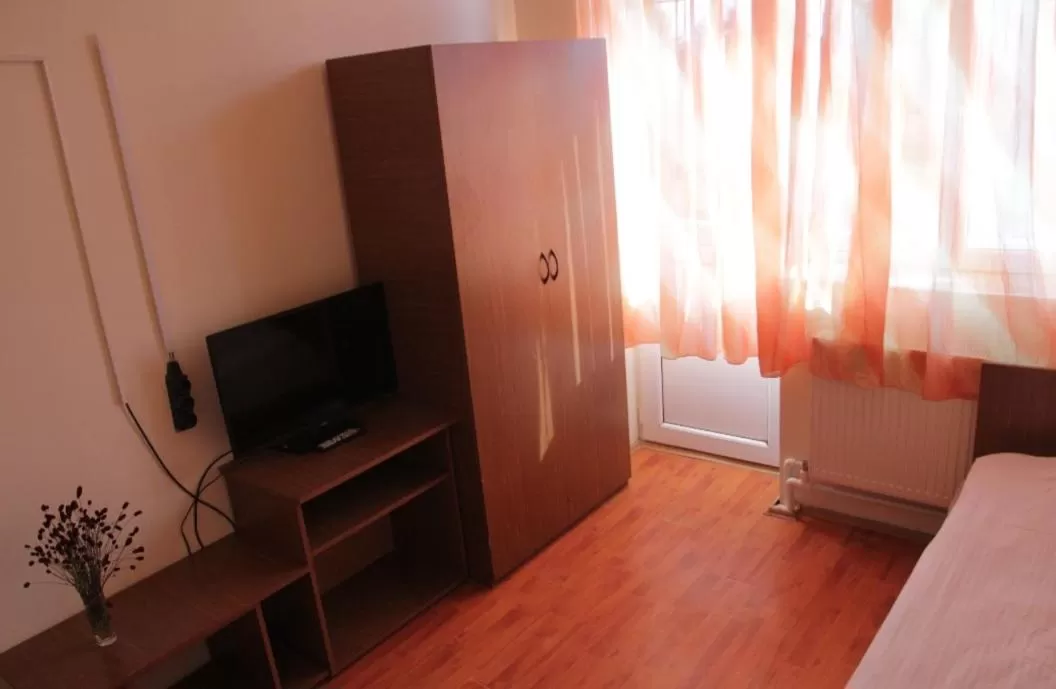 Communal lounge/ TV room, TV/Entertainment Center in Tsalka