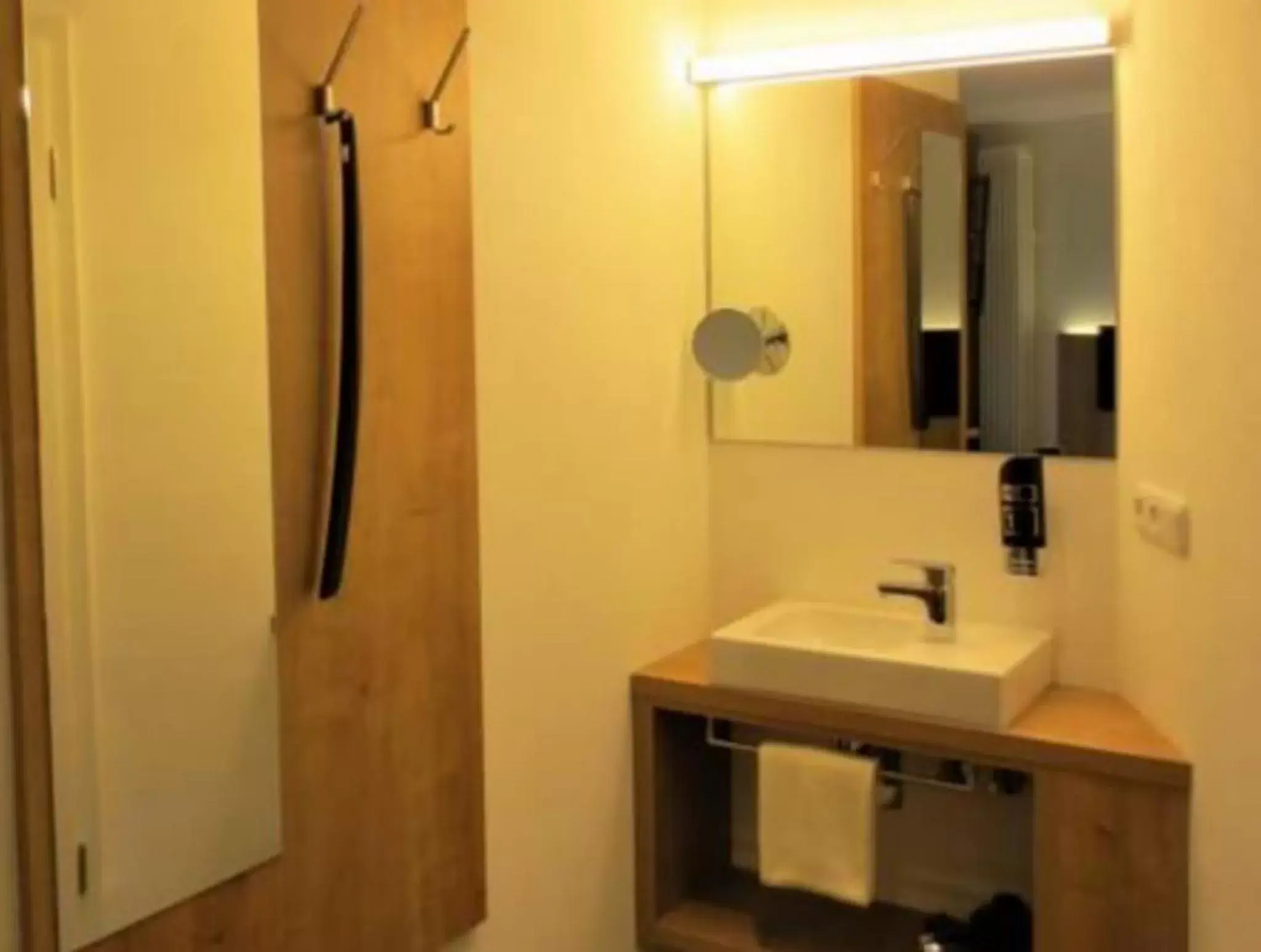 Photo of the whole room, Bathroom in Hotel Alp Inn