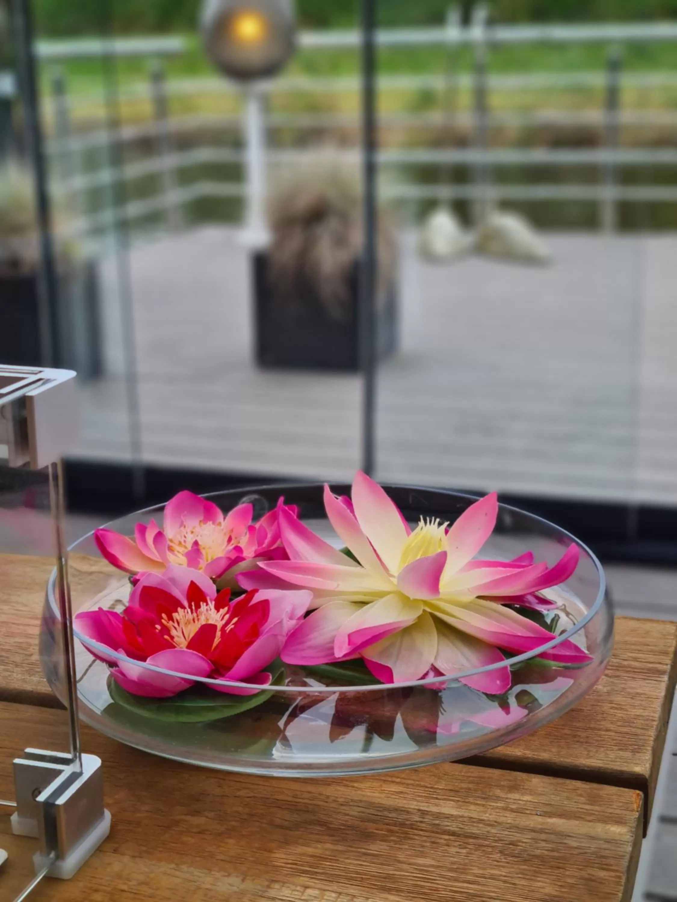 View (from property/room) in B&B Apartment Amsterdam Schiphol Airport