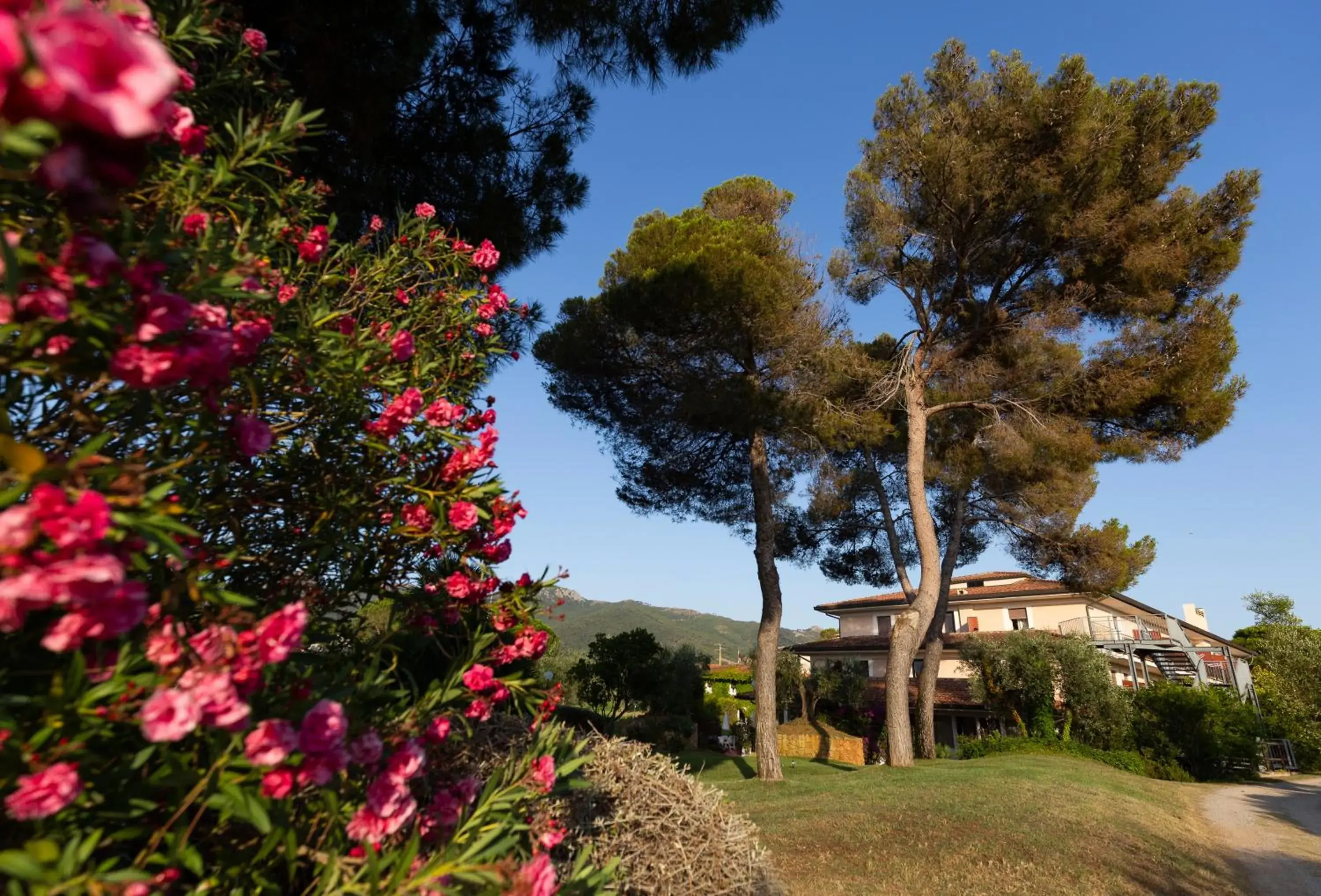 Garden in Hotel Fabricia