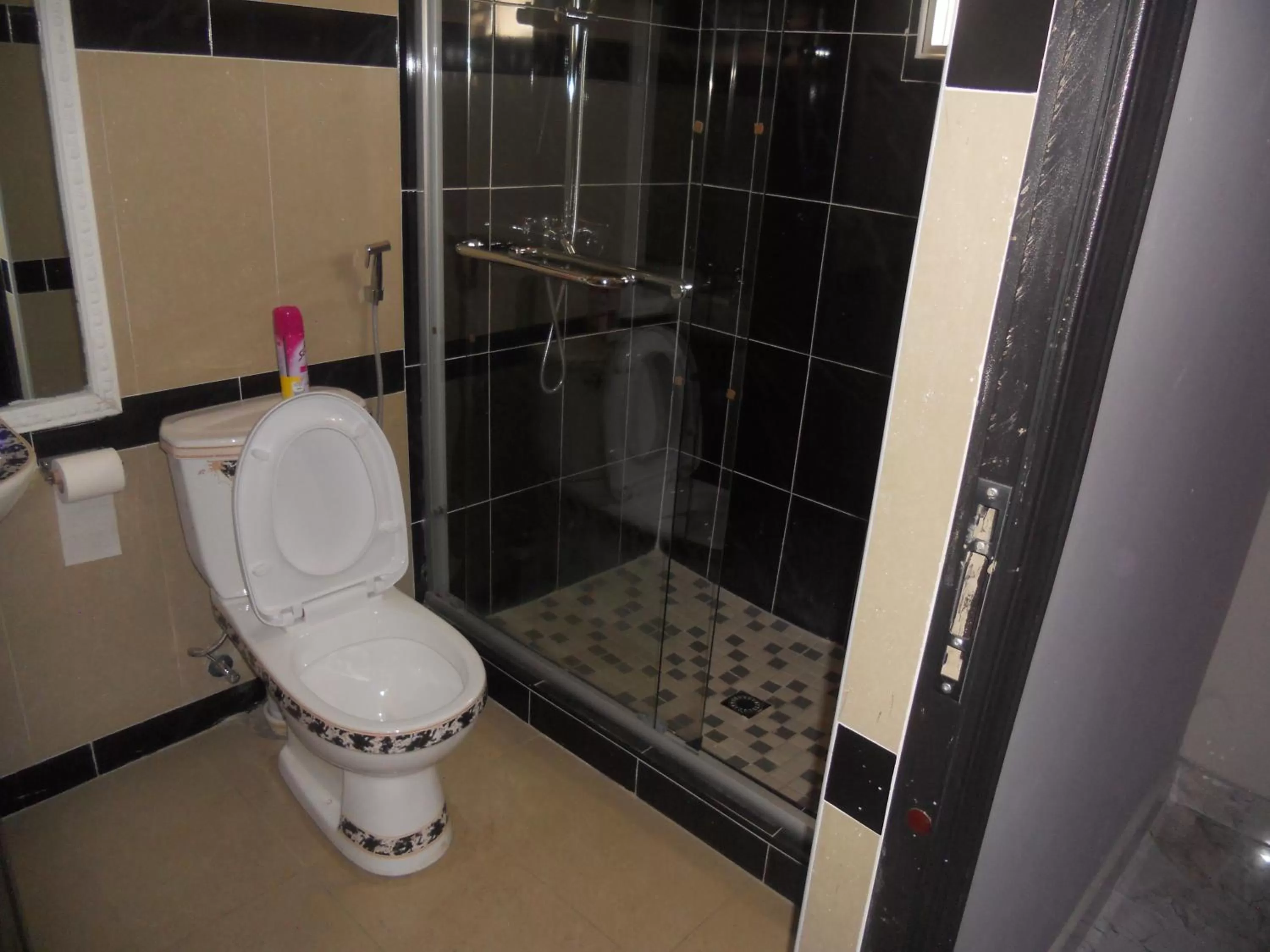 Shower in Gold Crown International Hotel Johannesburg