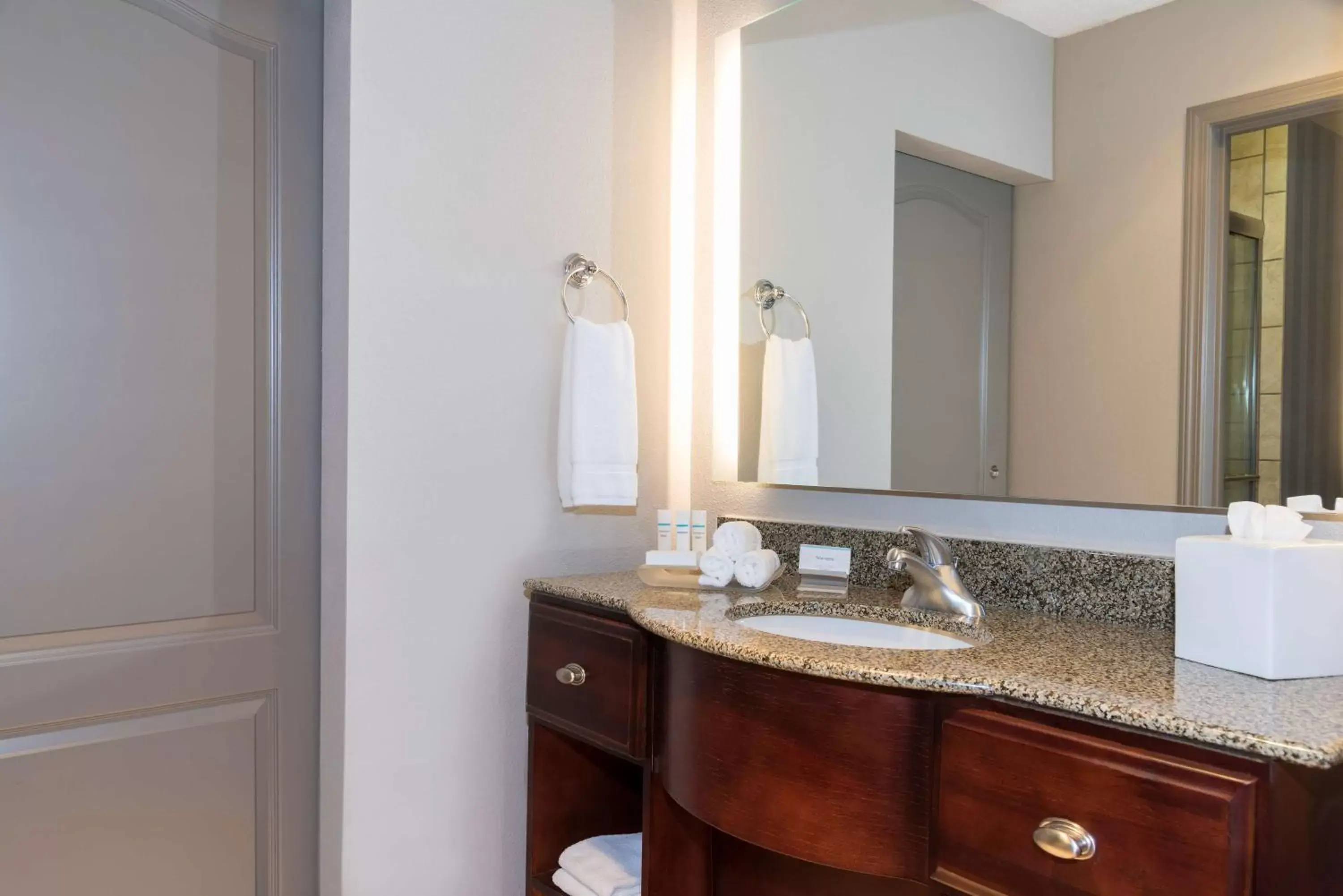 Bathroom in Homewood Suites by Hilton Bloomington